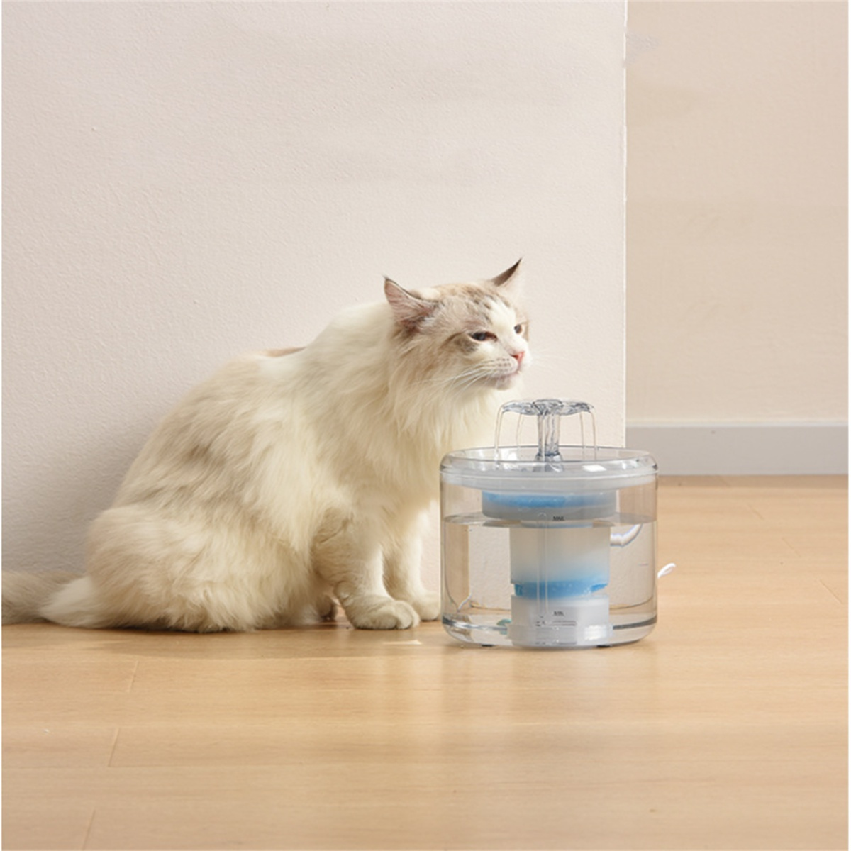 Weiße Katze trinkt aus einem transparenten Haustier-Wasserbrunnen. Beige Wände und Holzboden.