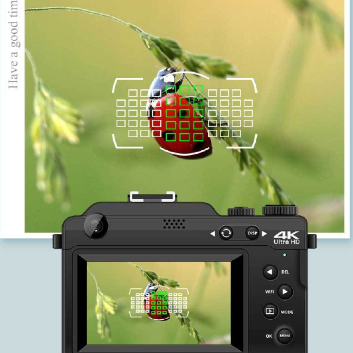 Aparat z biedronką na roślinie. Zielone kwadraty ostrości. Wyświetlacz pokazuje biedronkę.