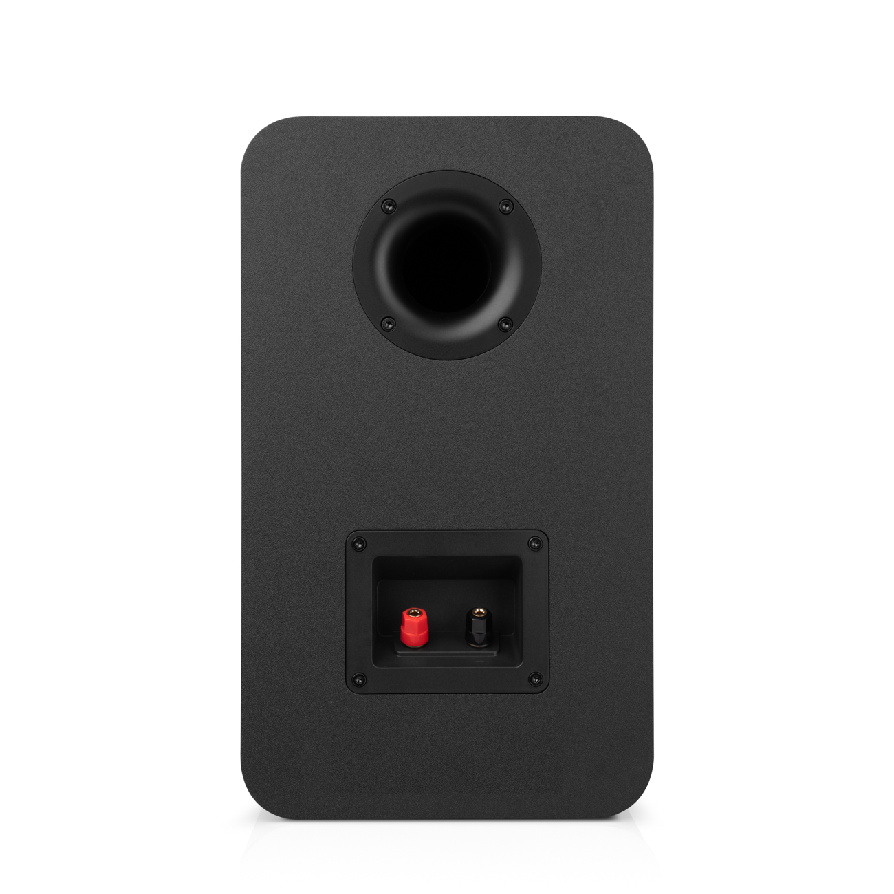 Panneau arrière d'enceinte noir avec port, connecteurs rouge et noir et évent.