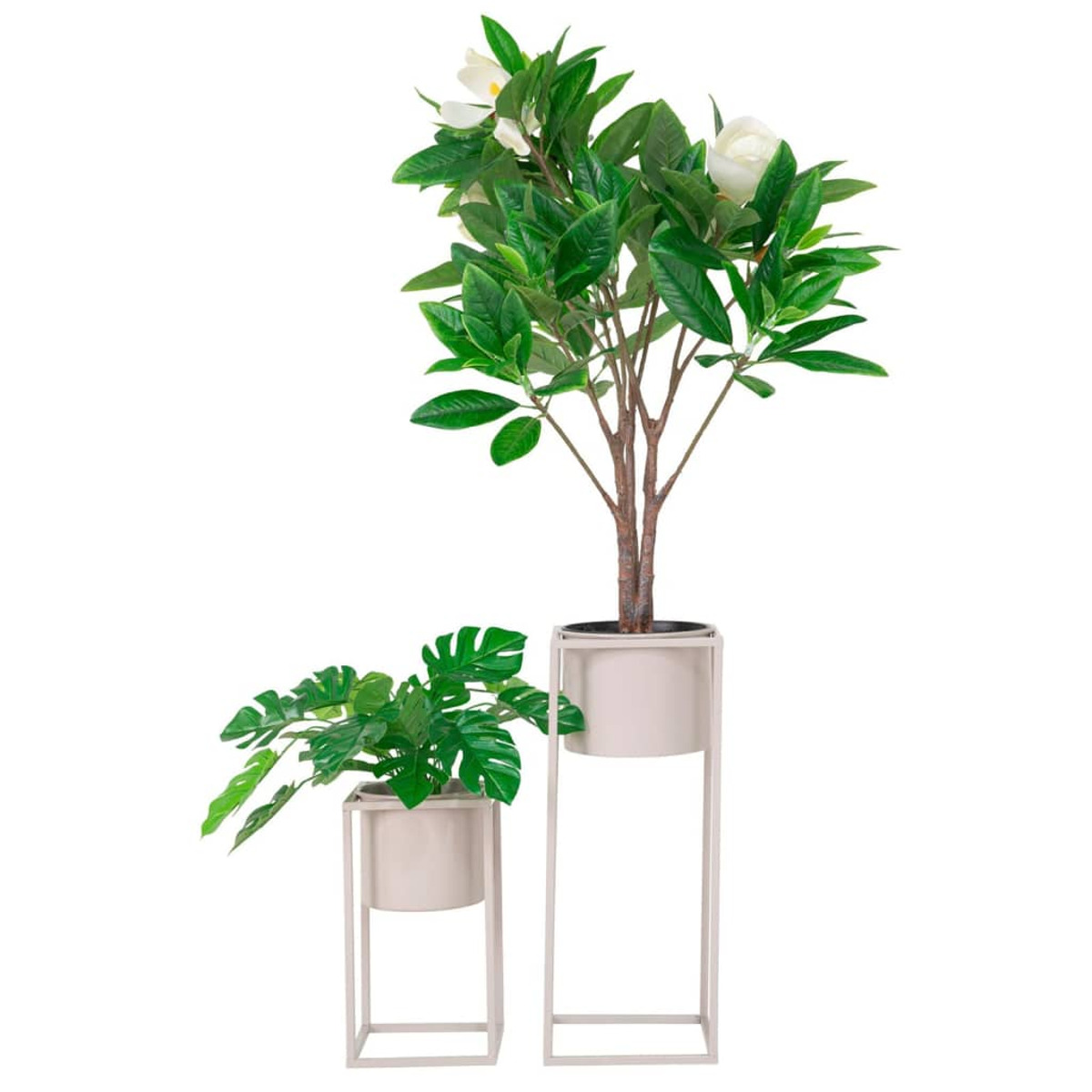 Due piante in vaso su supporti. Una è una pianta alta con fiori bianchi. L'altra è una pianta più bassa con foglie grandi.