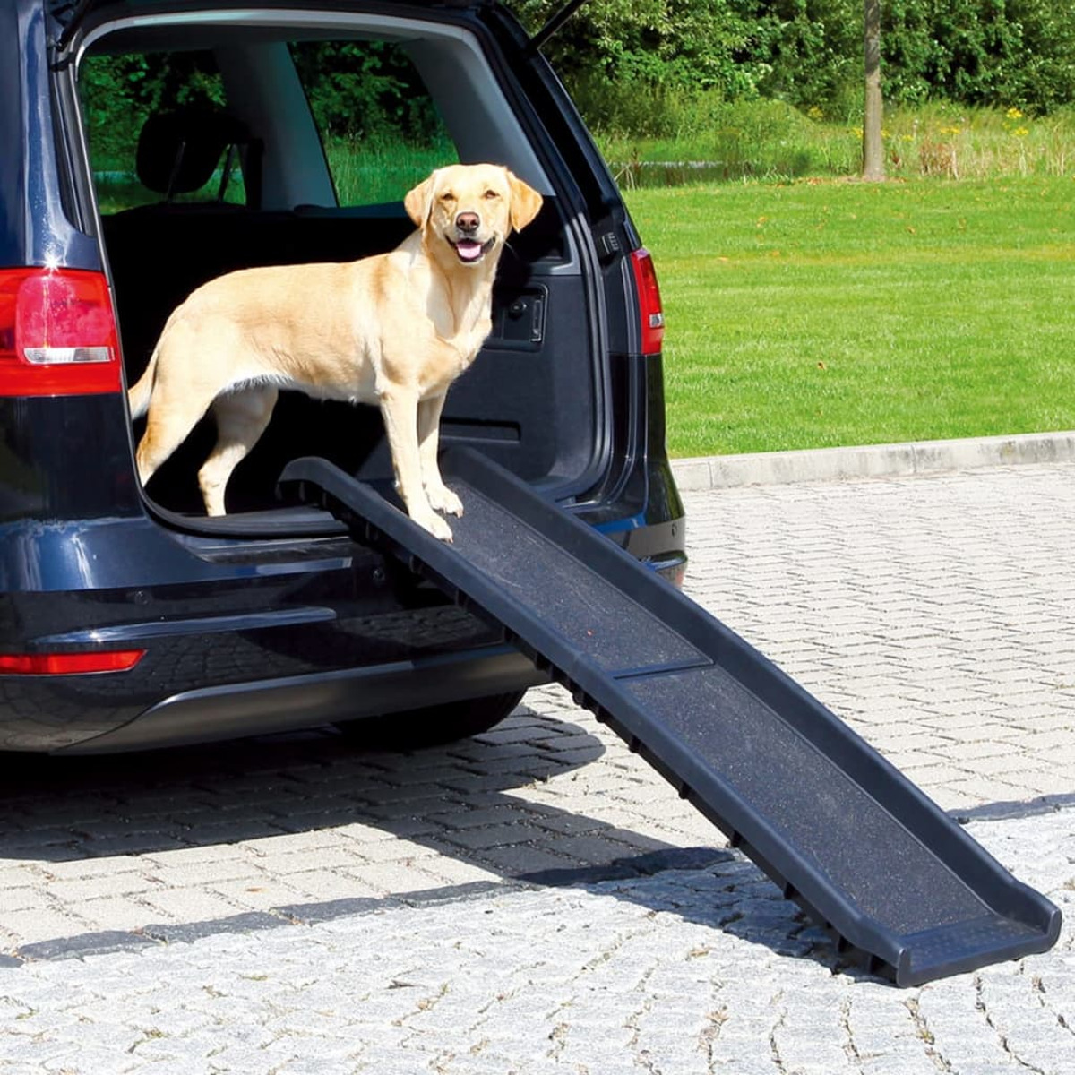 Un perro de pie en una rampa que conduce a un coche.
