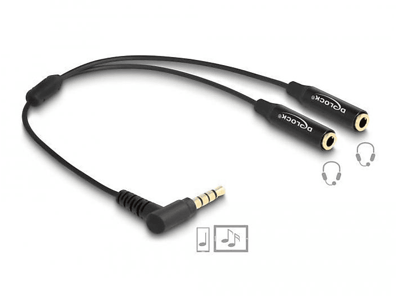 DELOCK Klinkenkabel, Schwarz 66242