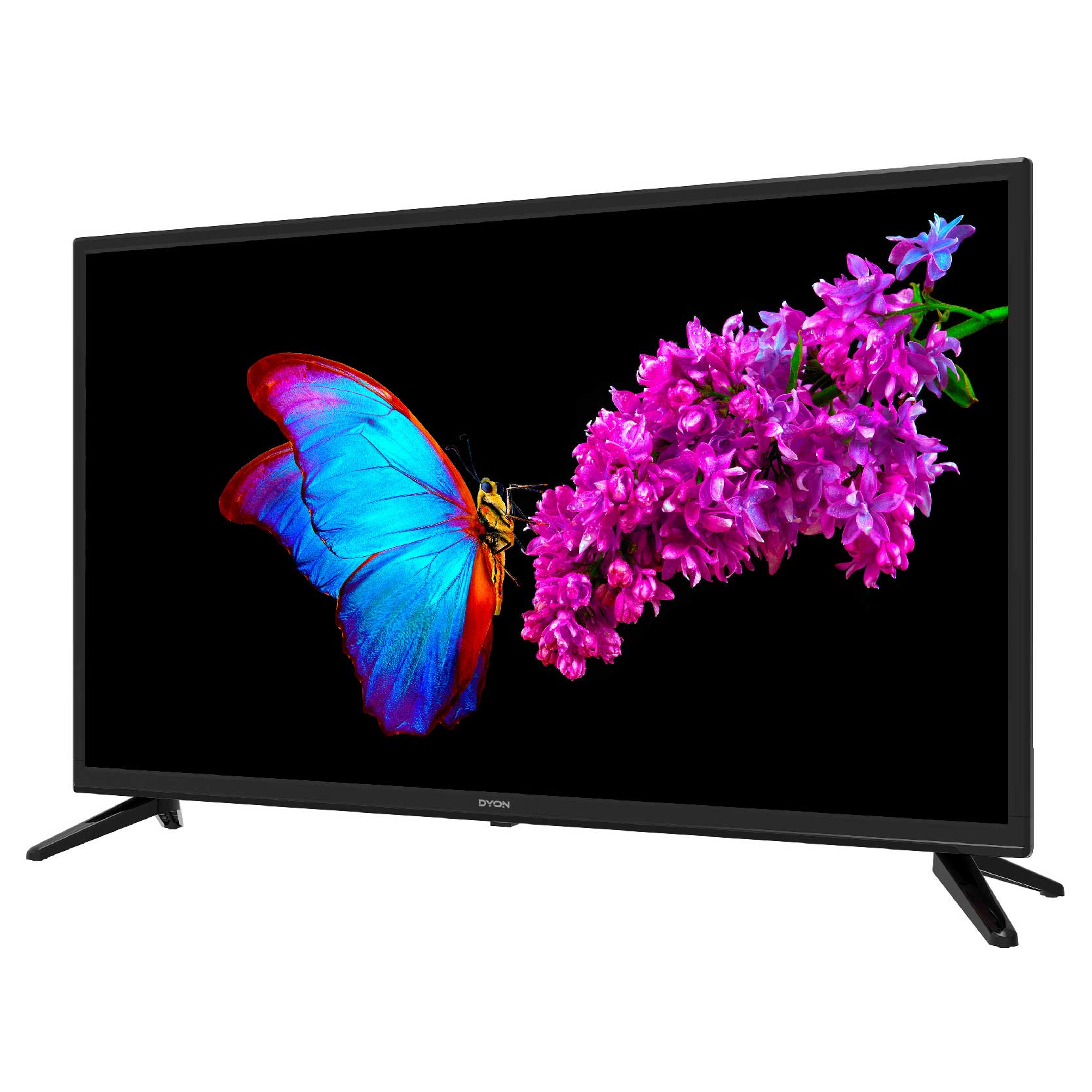 Ekran telewizora wyświetlający motyla i fioletowe kwiaty na czarnym tle.