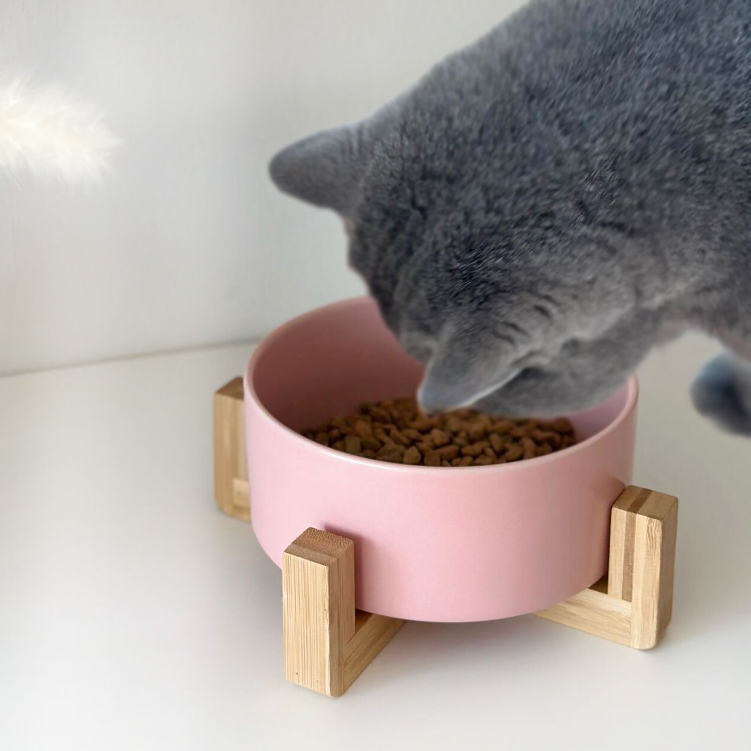 Katze, die Futter aus einer rosa Schüssel auf Holzständer isst.
