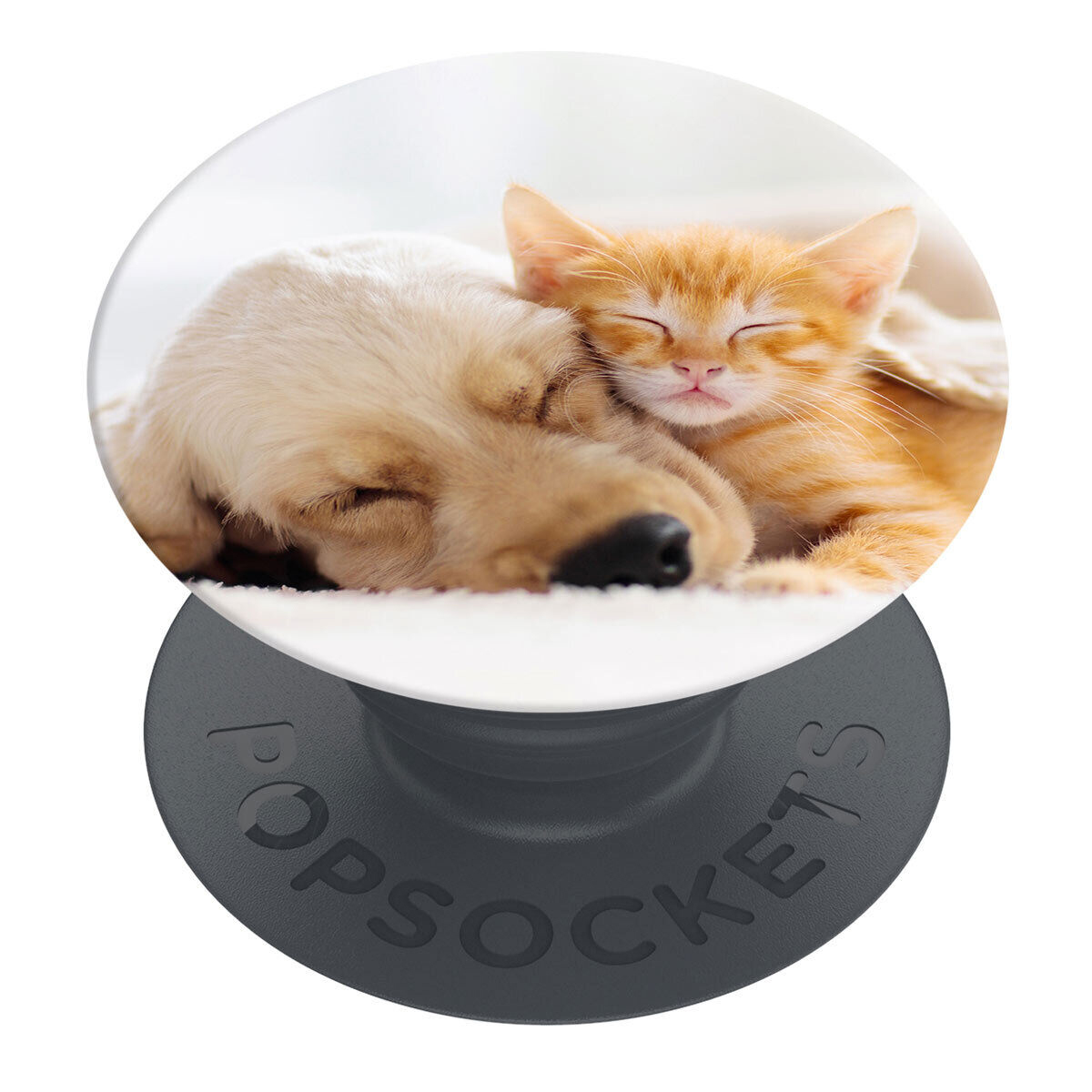 PopMount + & POPSOCKETS Cat Handyhalterung, Dog PopGrip