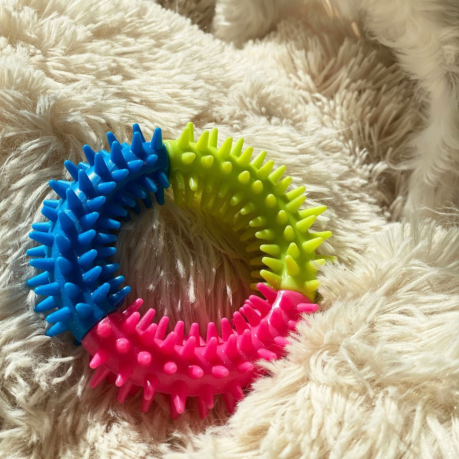 Ein farbenfrohes Hundespielzeug, blau, grün und rosa, auf flauschiger Oberfläche.