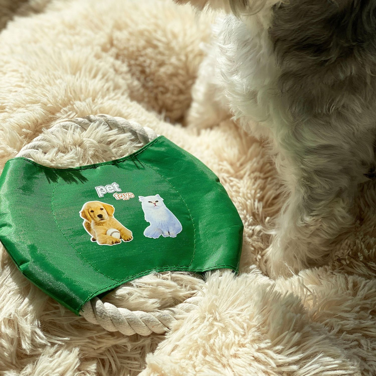 Grünes Haustierspielzeug mit Hunde- und Katzenaufklebern auf einer flauschigen Decke.