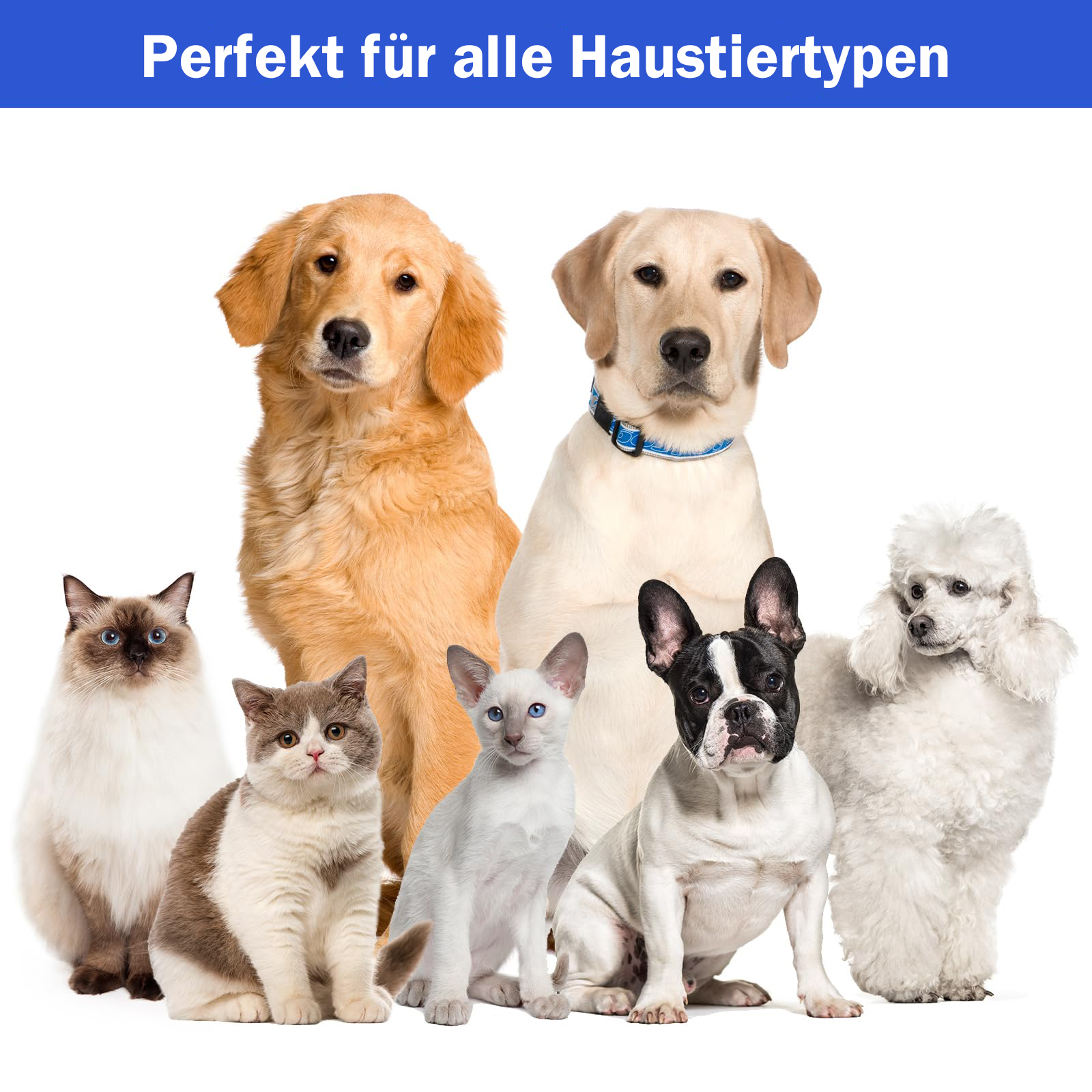 Pflegewerkzeugen 5 Hundeschermaschine Haustierpflegeset,Tierhaarschneidemaschine mit Staubsauger mit Pro P1 NEAKASA Profi