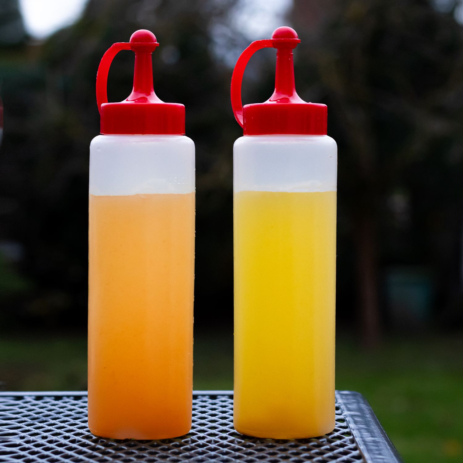 Zwei Plastikflaschen mit roten Deckeln, die orange und gelbe Flüssigkeiten enthalten.