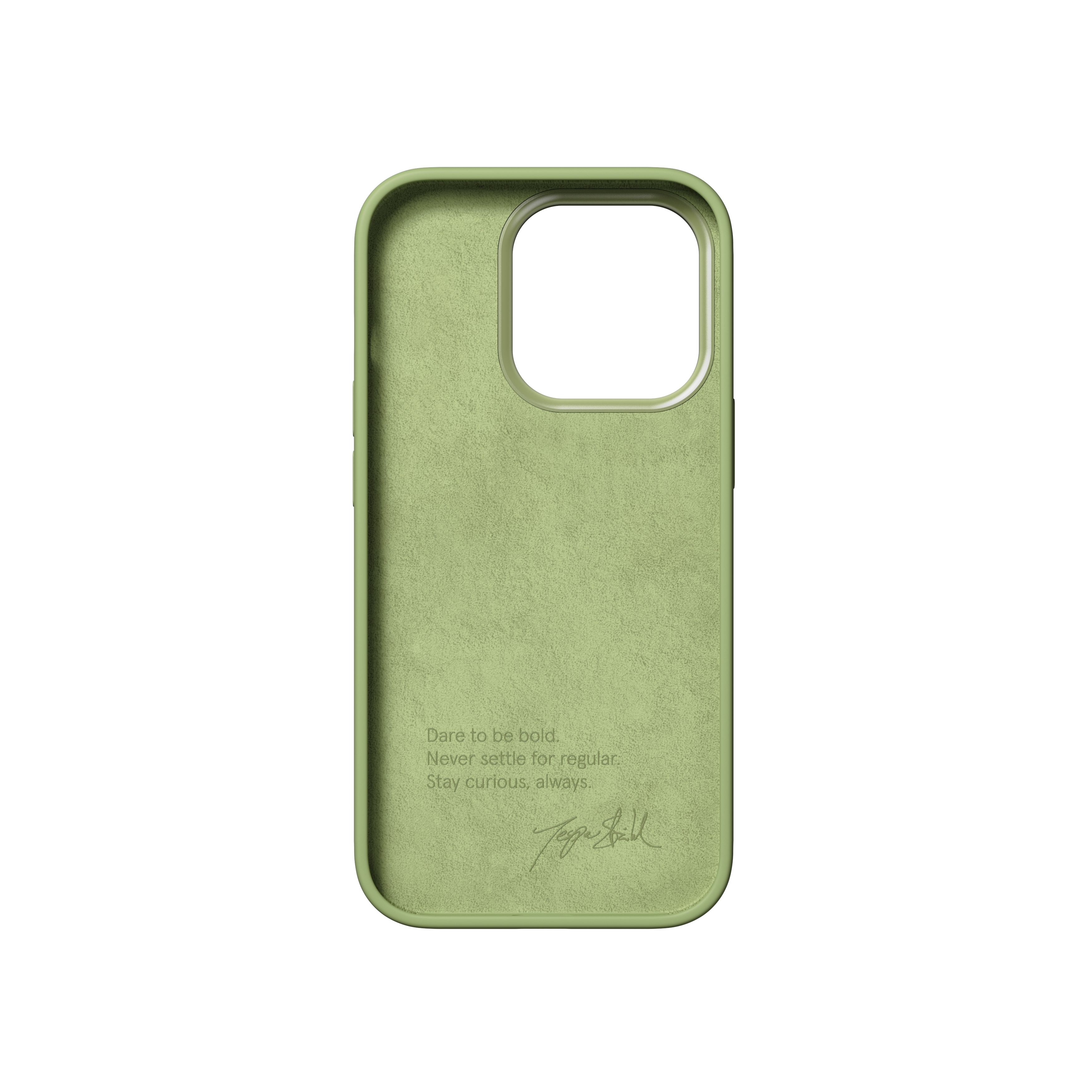 14 PRO, Backcover, Bold Case, IPHONE APPLE, NUDIENT GREEN