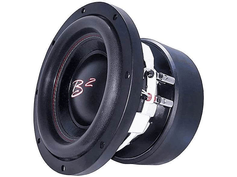 Passiv (25cm) Subwoofer Audio 10 XL Rage B2 B2 V210\