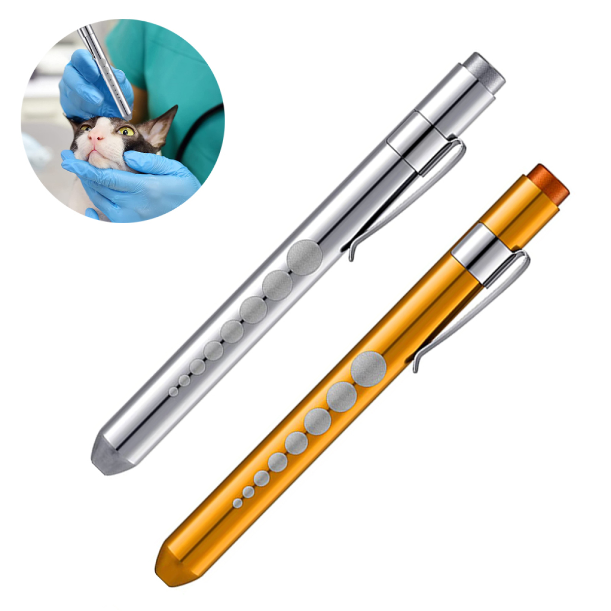 Zwei Stiftlampen, silber und gold, auf weißem Hintergrund. Katzenaugenuntersuchung im Kreis.