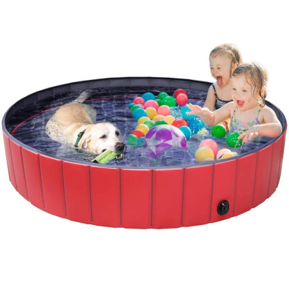 Pool Hundepool Dog FEMOR