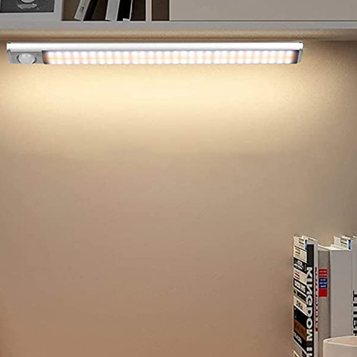 Regal mit Lichtleiste. Bücher sind sichtbar. Hellbeige Wand.