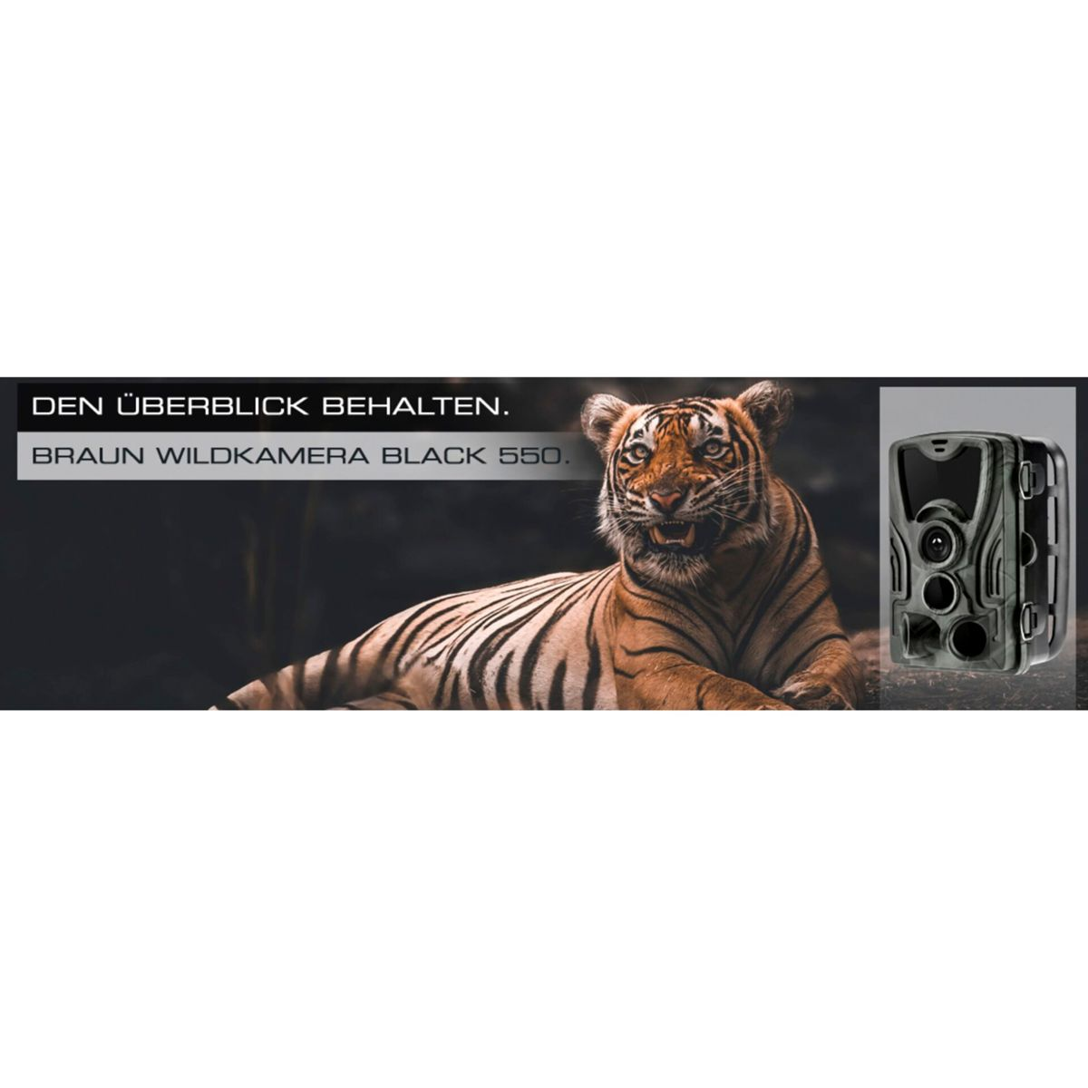 Tiger im Wald mit Wildkamera, Text: Behalten Sie den Überblick. Braun Wildkamera Black 550.