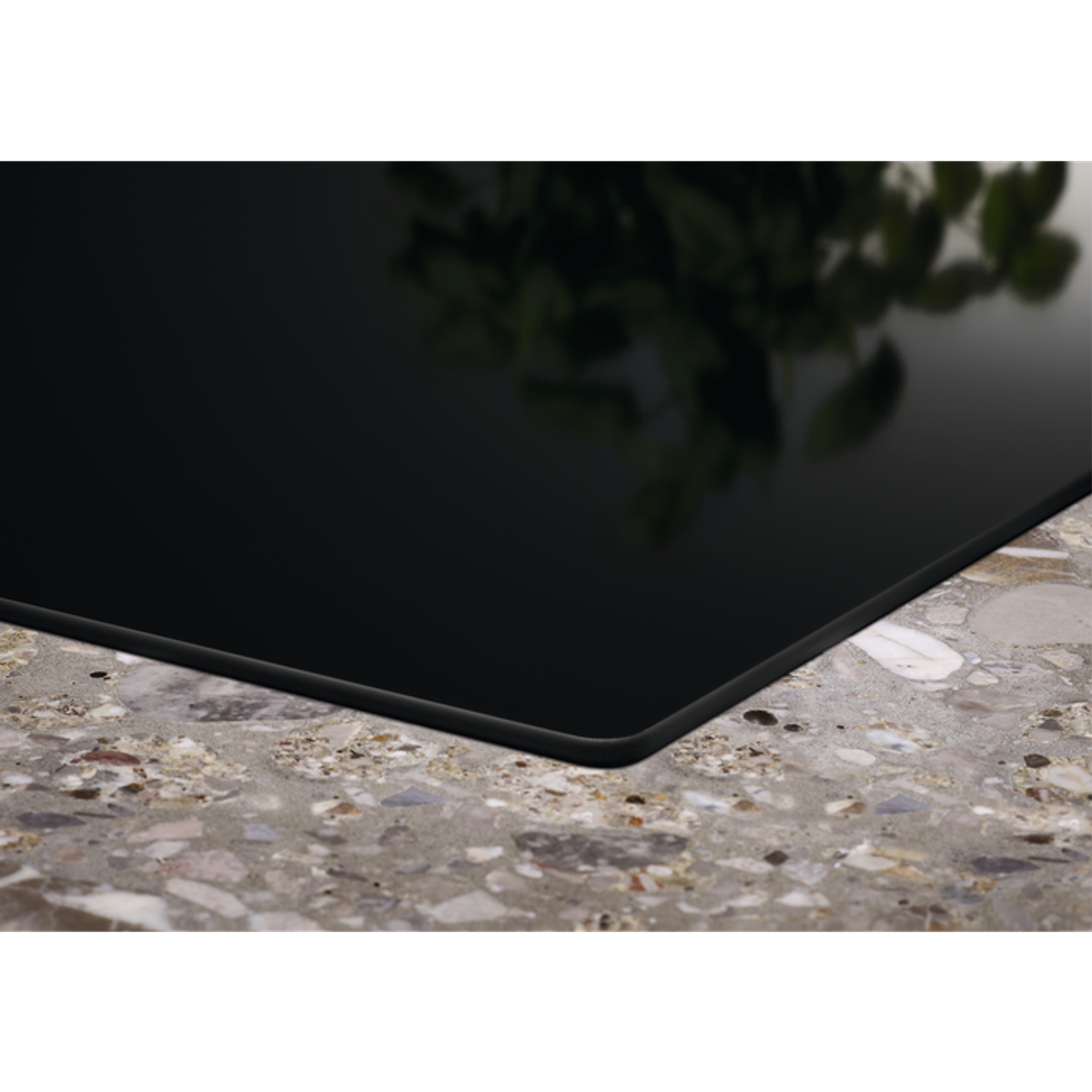 Czarna płyta indukcyjna na granitowym blacie z ciemnozielonymi roślinami.