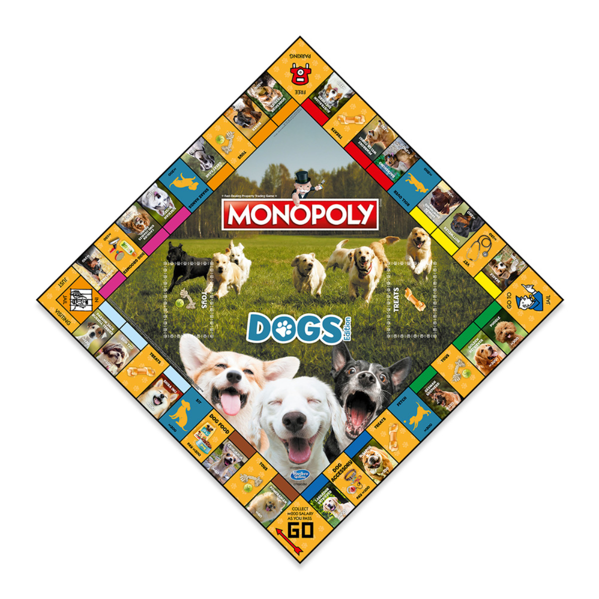 Gioco da tavolo Monopoly a tema cani, con varie razze canine.