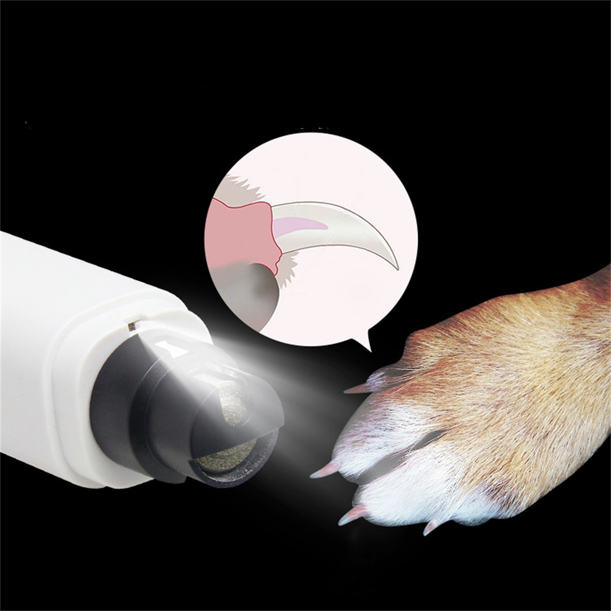 Hundepfote wird getrimmt. Eine Nagelzange wird zum Trimmen der Krallen des Hundes verwendet. Nahaufnahme.