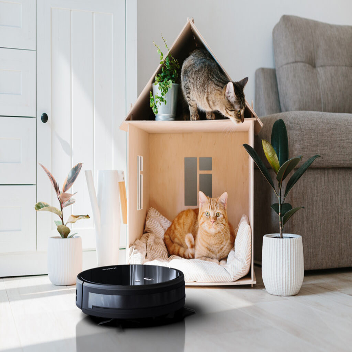 Zwei Katzen in einem Katzenhaus aus Holz. Eine oben und eine drinnen, mit Roboterstaubsauger.