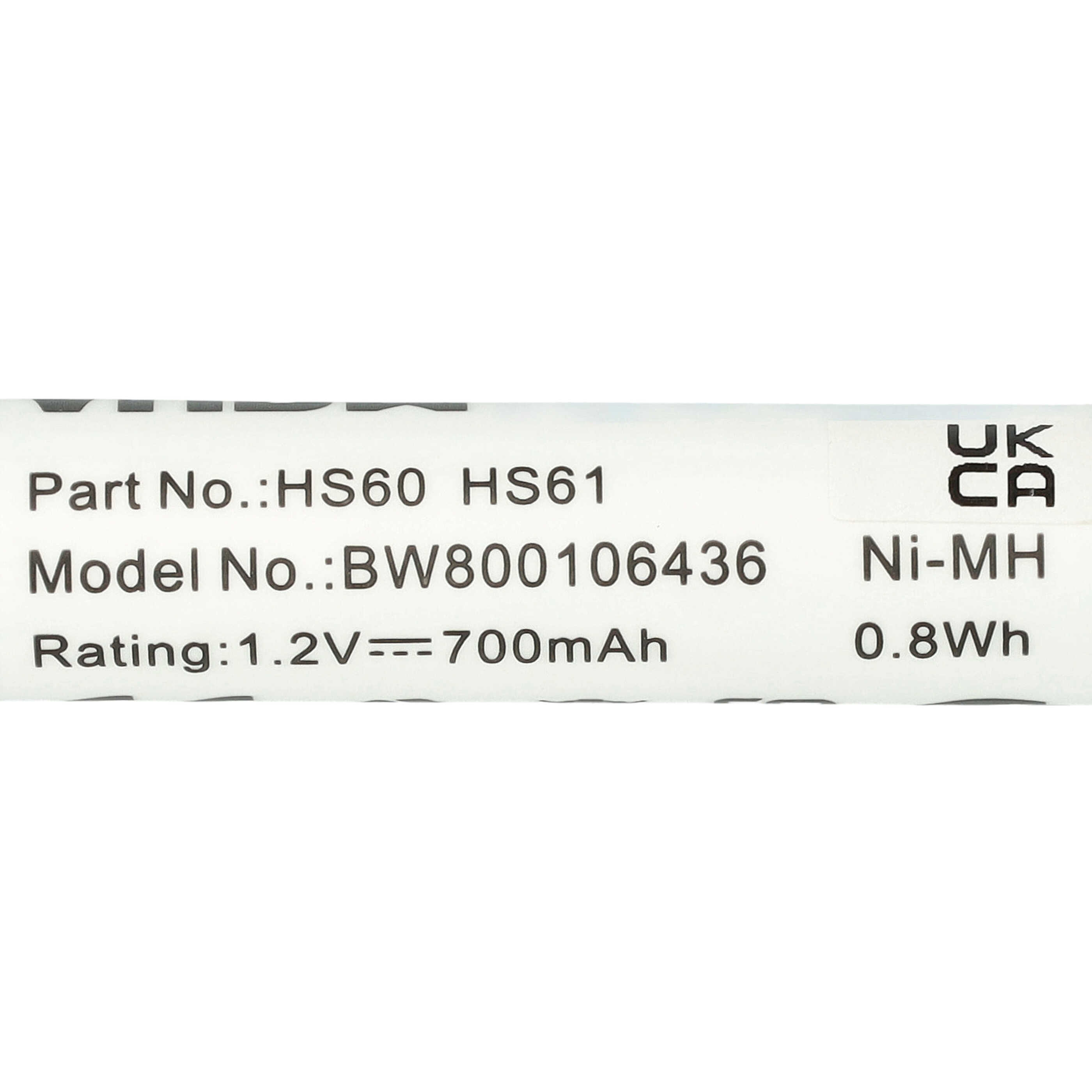 Batterieetikett. Informationen umfassen Modellnummer, Spannung und Kapazität.