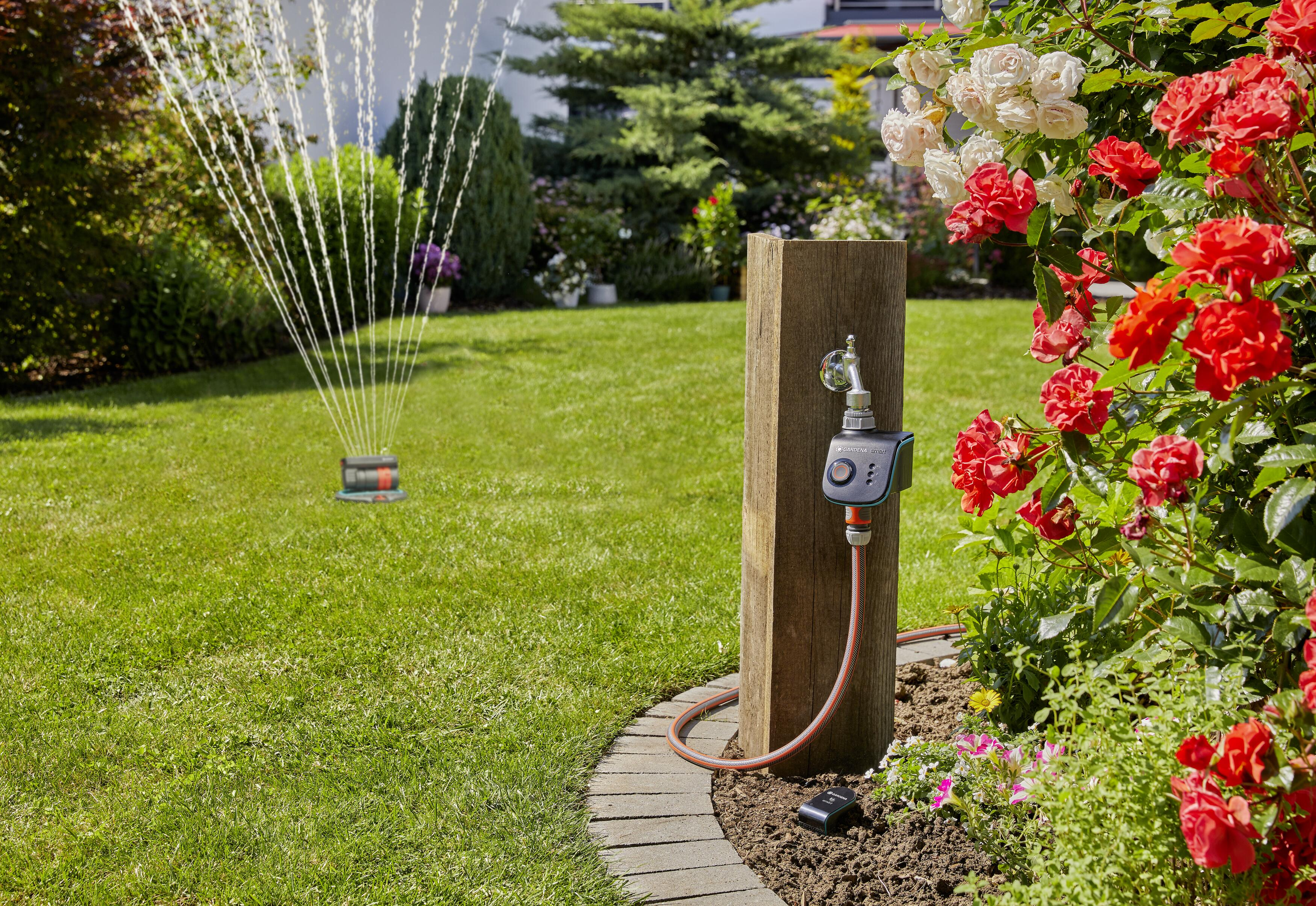 Eine Gartenszene mit Rasensprenger im Hintergrund. Holzpfosten mit Wasserhahn und Zeitschalter. Rote Rosen.
