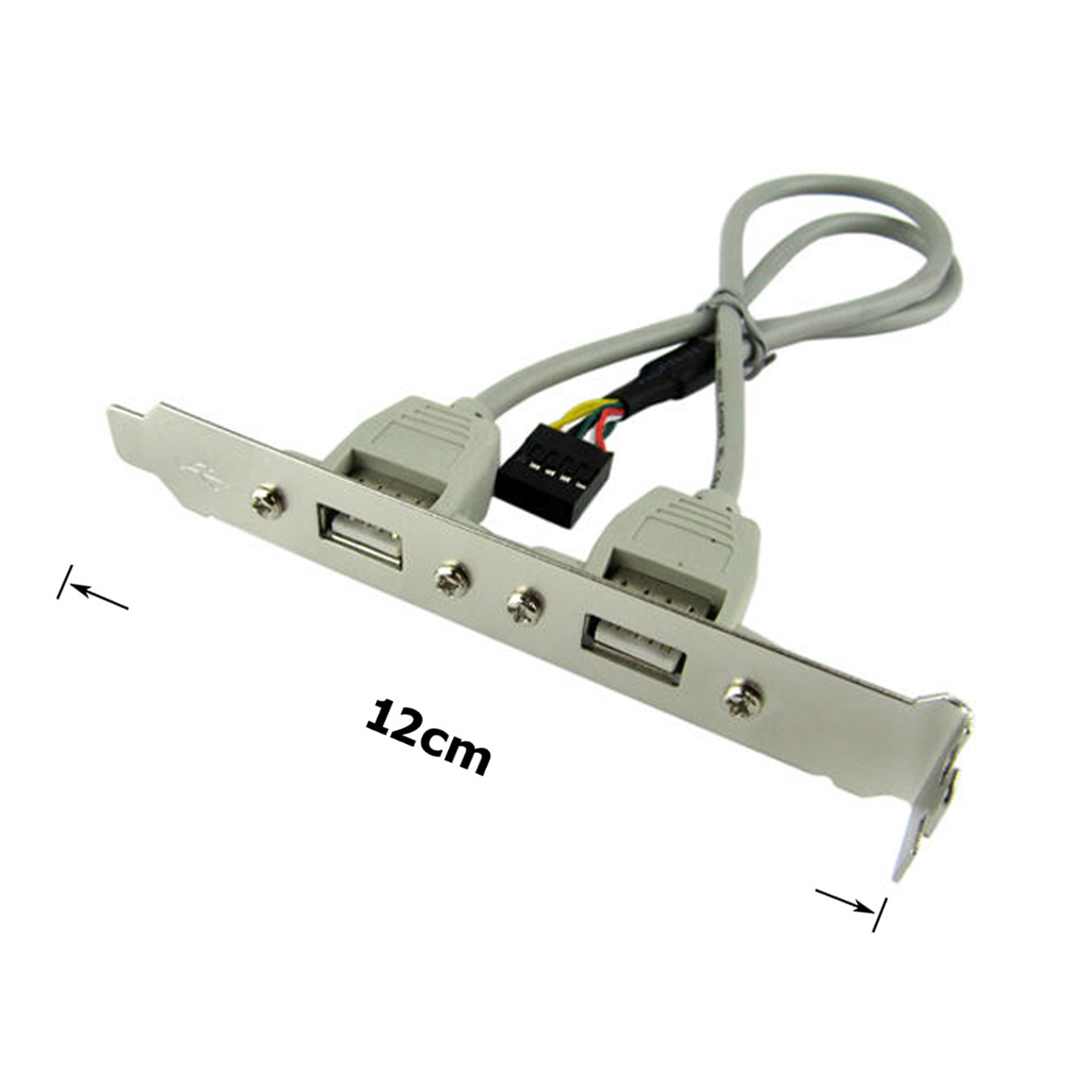 USB 2.0 Panel mit zwei USB-Anschlüssen und einem Header-Kabel, 12cm breit.