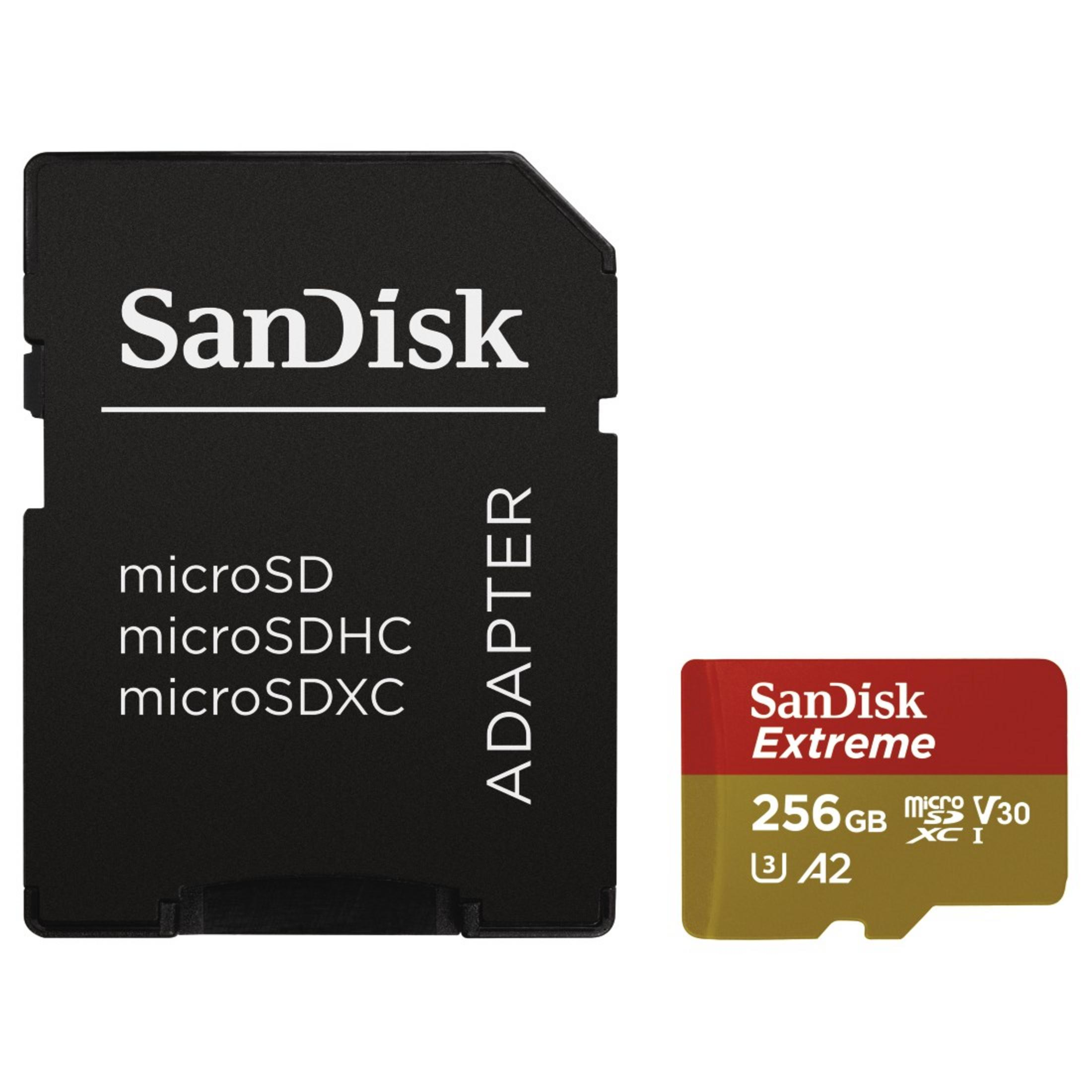 Una scheda SD SanDisk e un adattatore. La scheda è rossa e oro, con una capacità di 256GB.