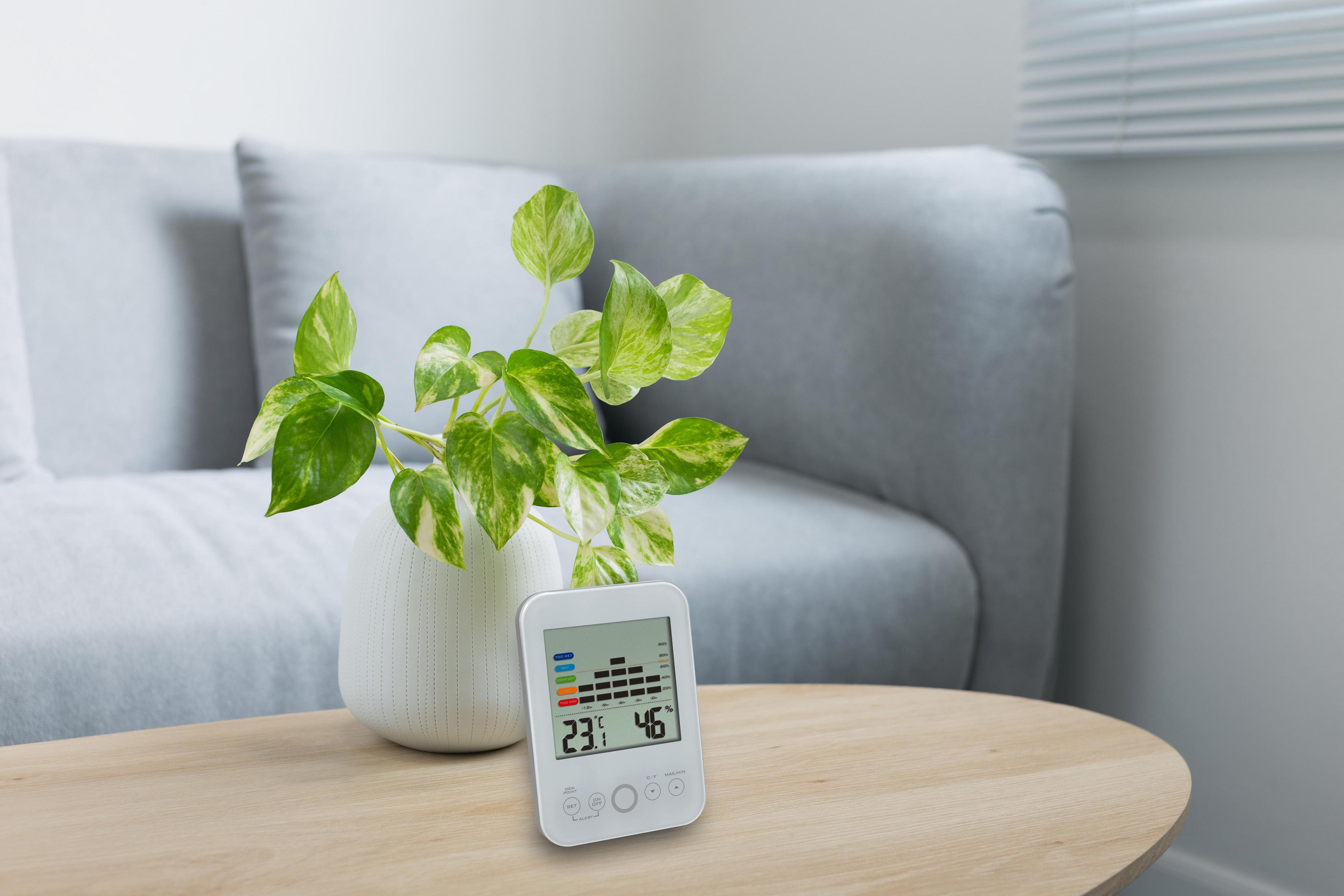 Eine weiße Digitaluhr zeigt Temperatur und Luftfeuchtigkeit auf einem Holztisch.