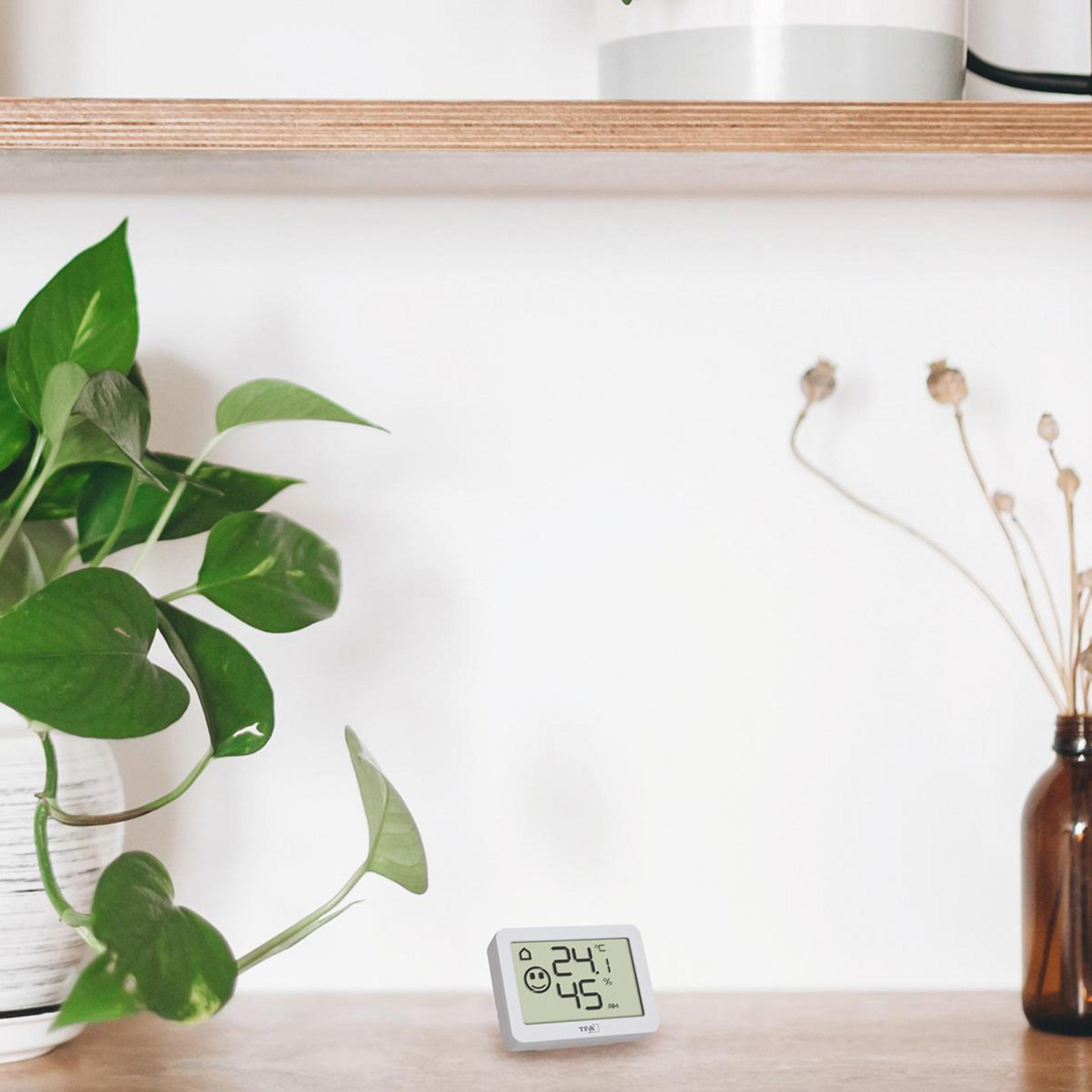 Ein kleines digitales Thermometer mit Smiley-Anzeige auf einem Tisch, eine Topfpflanze und eine Vase mit Trockenblumen.