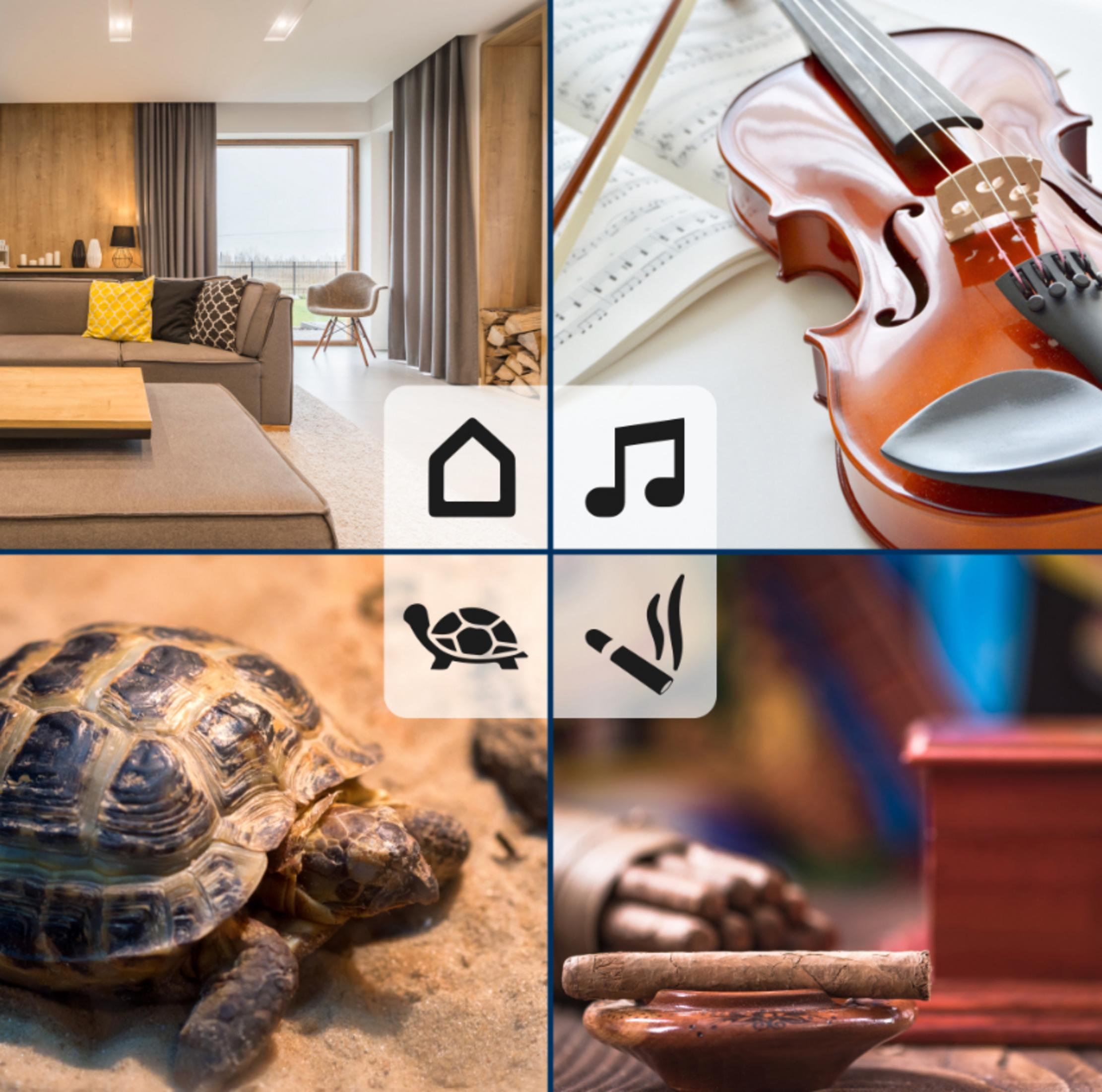 Wohnzimmer mit Sofa, Fenster und Symbolen. Geige und Noten. Schildkröte und Zigarette.