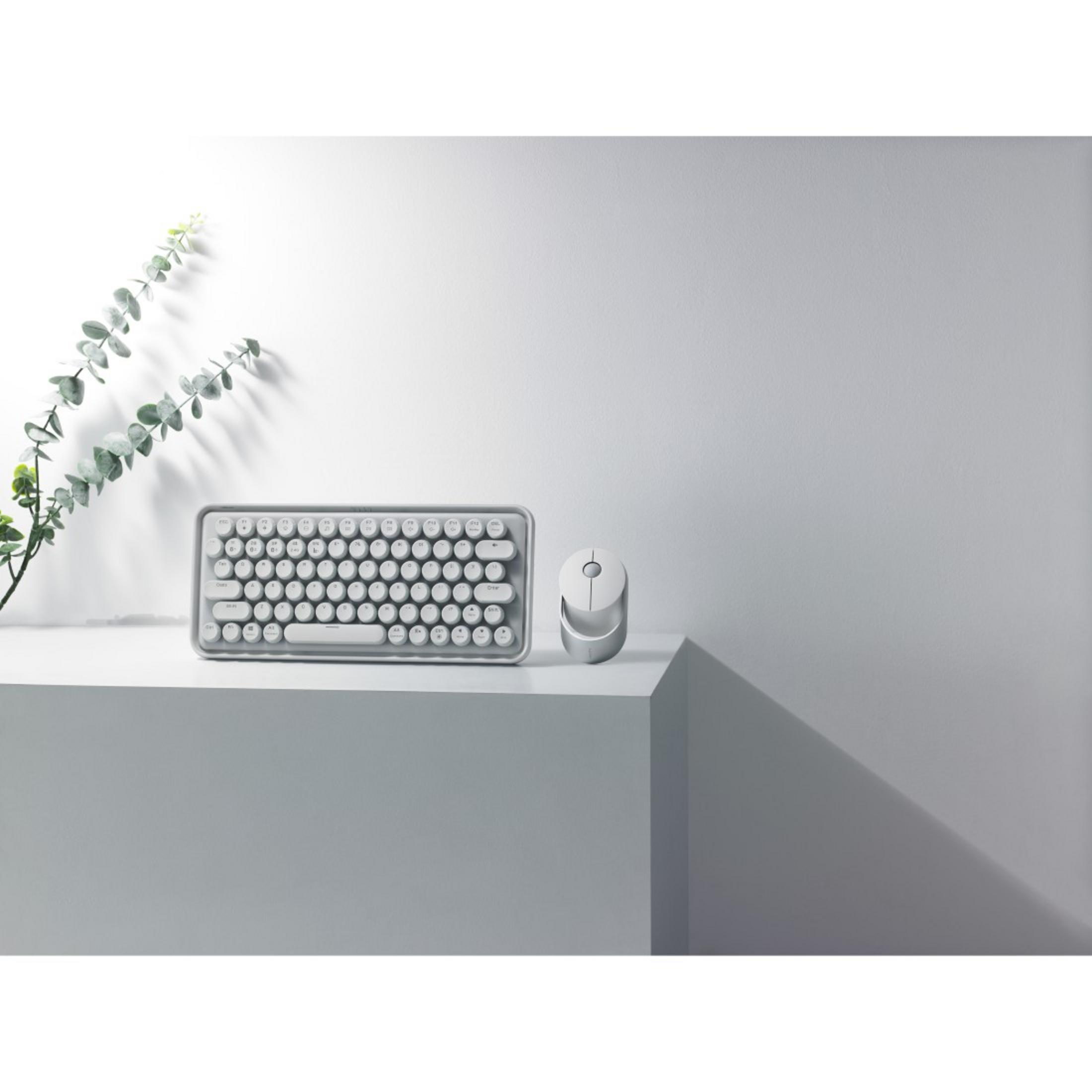 Un set tastiera e mouse wireless su una superficie bianca, con una pianta verde sullo sfondo.