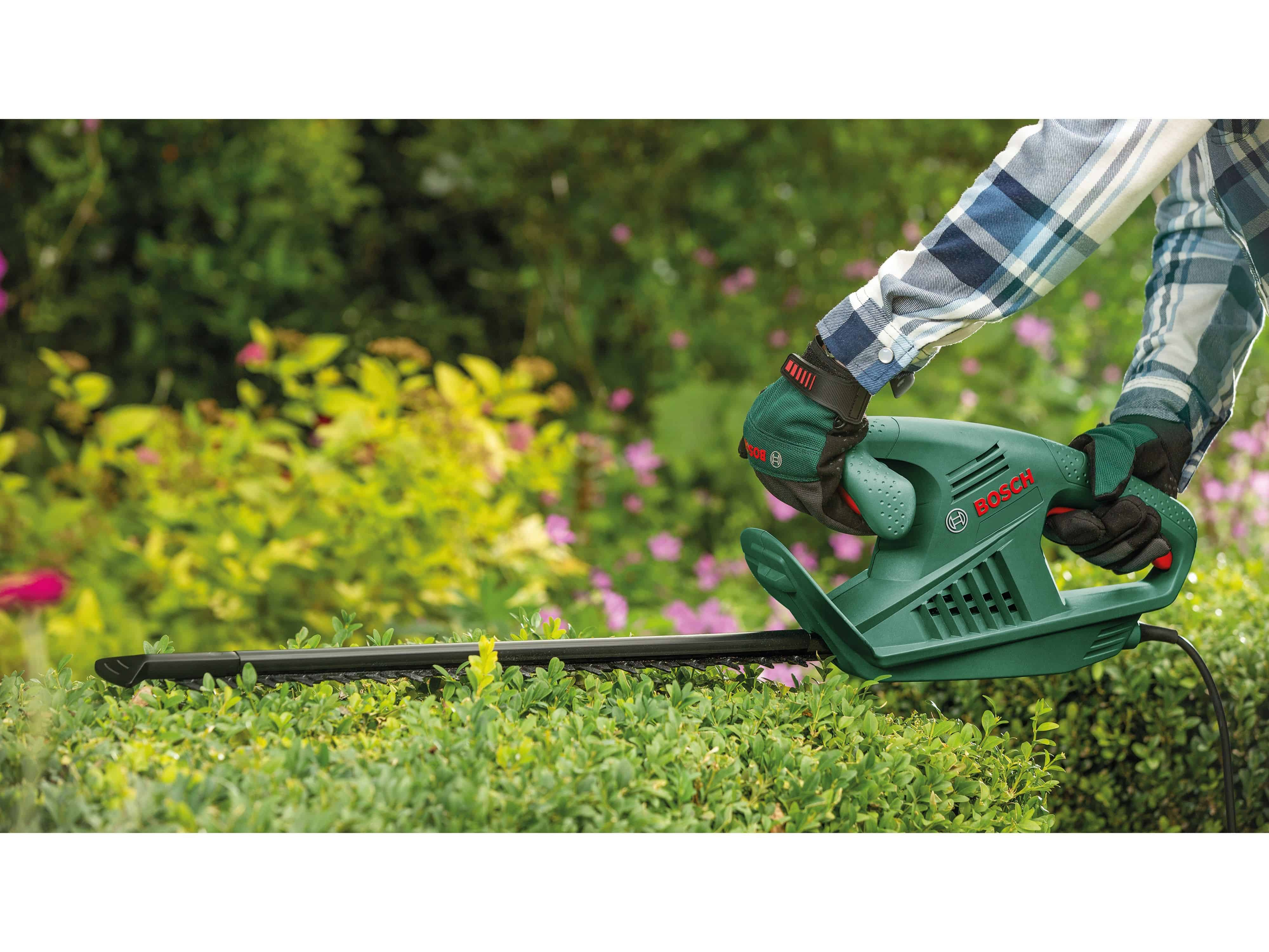 Une personne taillant un buisson vert avec un taille-haie Bosch. L'outil est vert et noir.