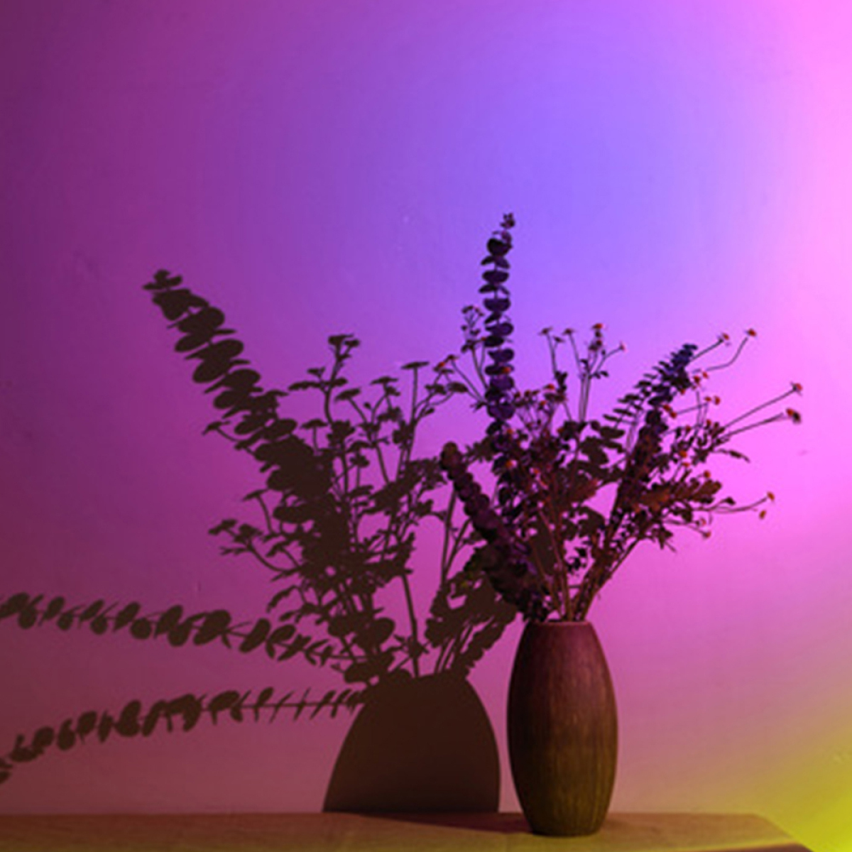 Vase mit Blumen auf einem Tisch. Der Hintergrund ist ein Farbverlauf aus Lila und Pink mit Schatten.