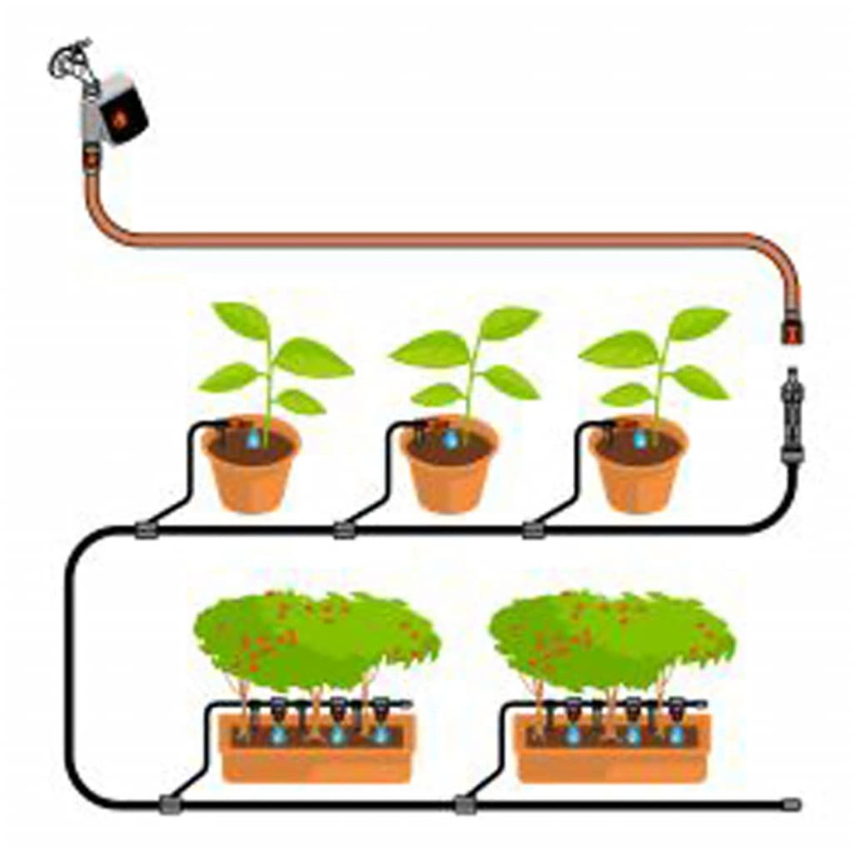 Schema di un sistema di irrigazione a goccia per piante.