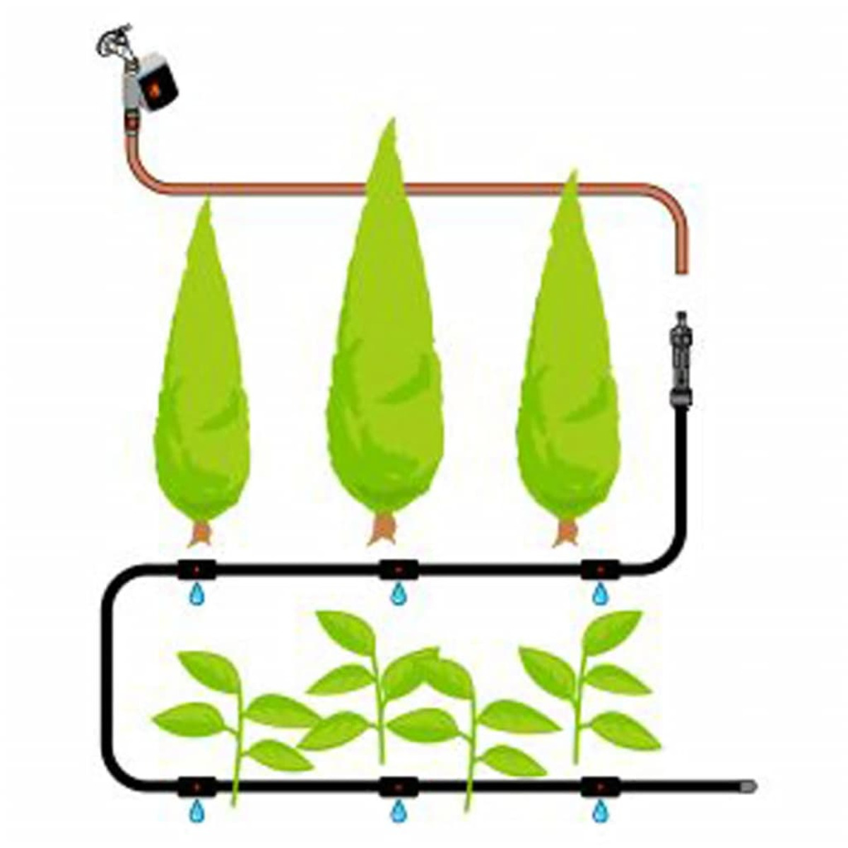 Schema di un sistema di irrigazione, con alberi e gocciolamento d'acqua.