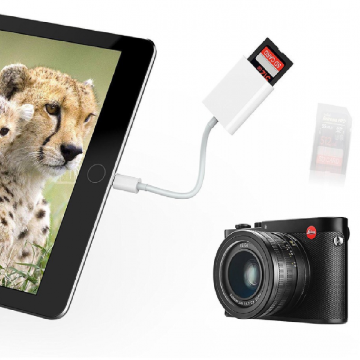 Tablet zeigt Gepardenbild, verbunden mit Kamera und SD-Kartenleser.