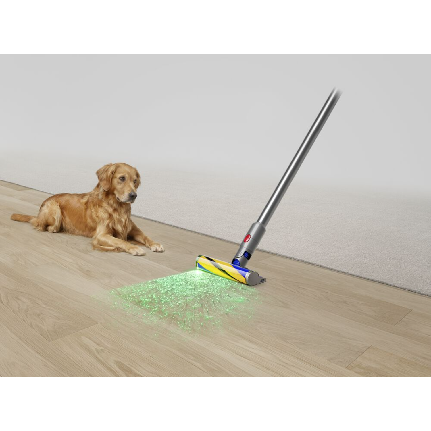 Golden Retriever Hund und ein Staubsauger.