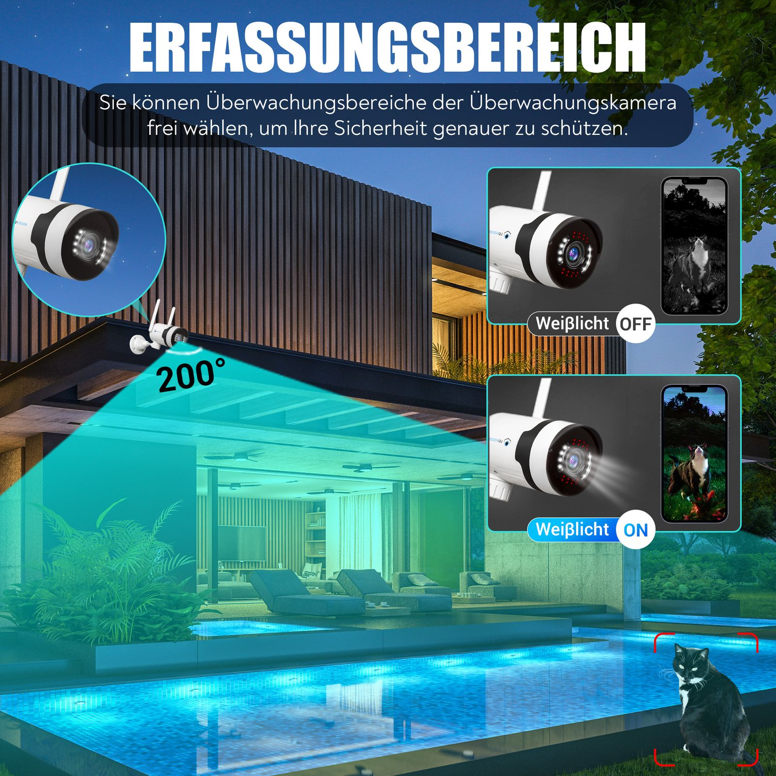 Outdoor-Überwachungskameras, Pool, Katze.