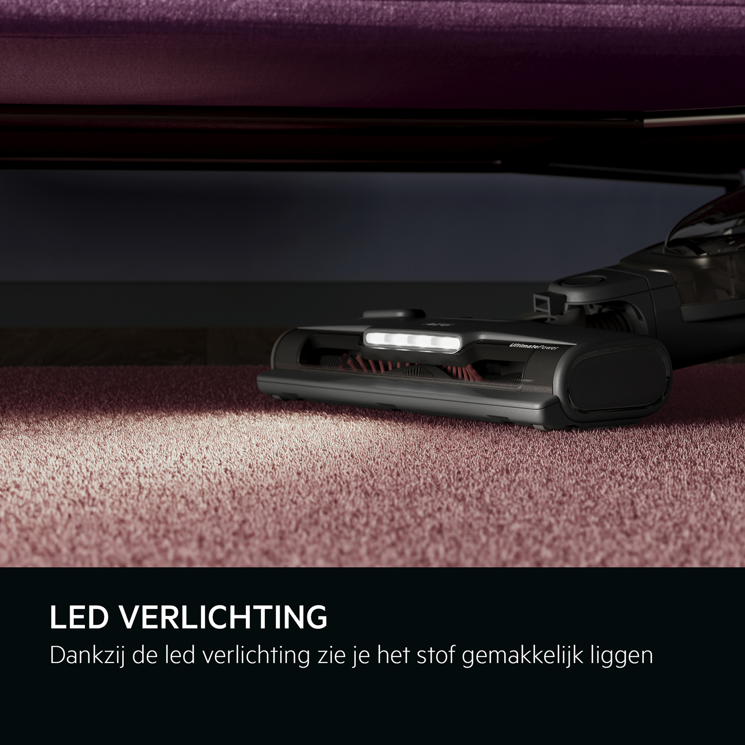 Staubsaugerkopf mit Lichtern auf einem rosa Teppich. Der Teppich liegt unter einem dunkelvioletten Sofa.