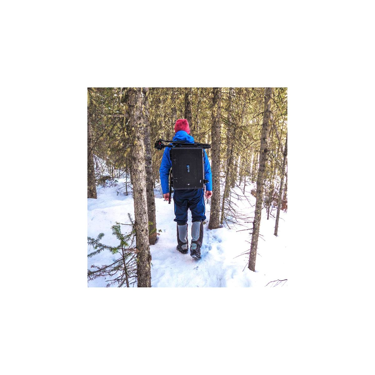 Eine Person in einem Wald mit Rucksack, geht von der Kamera weg.