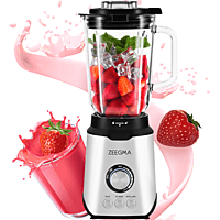 MediaMarkt ZEEGMA Grand Vitamine Blender Zilver/zwart aanbieding