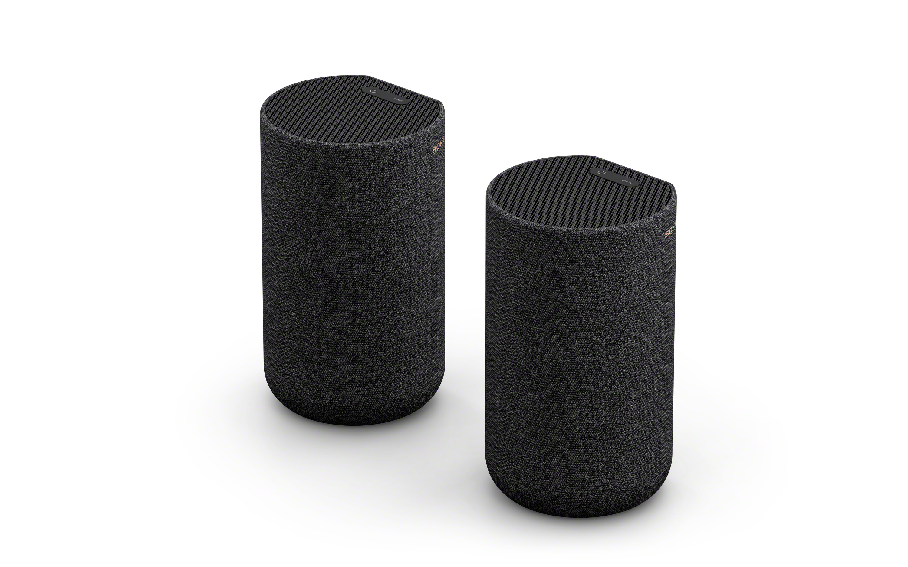 Zwei zylindrische schwarze Lautsprecher. Schräge Ansicht, weißer Hintergrund. Marke Sony.