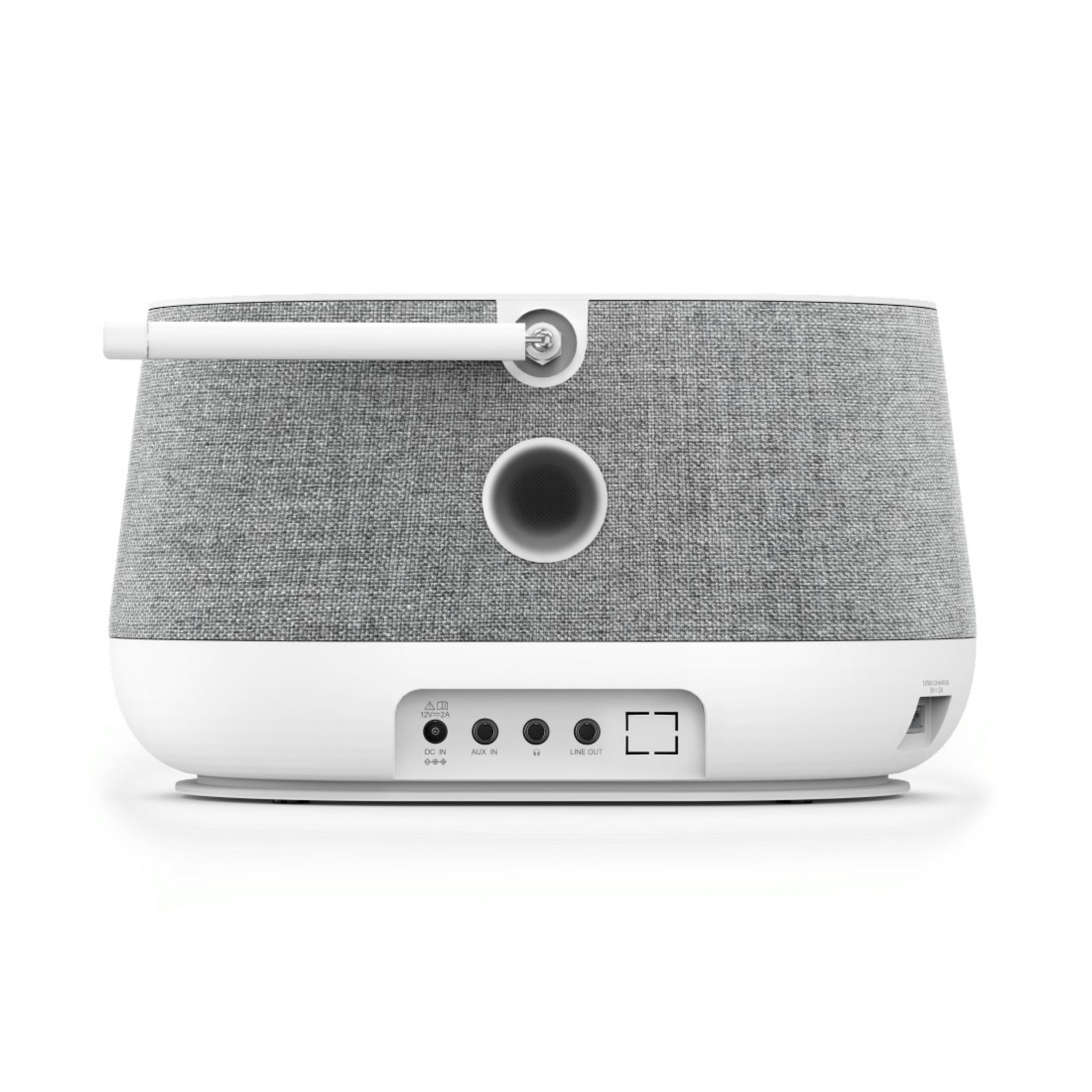 Szaro-biały głośnik z uchwytem, przyciskami i portami z tyłu.