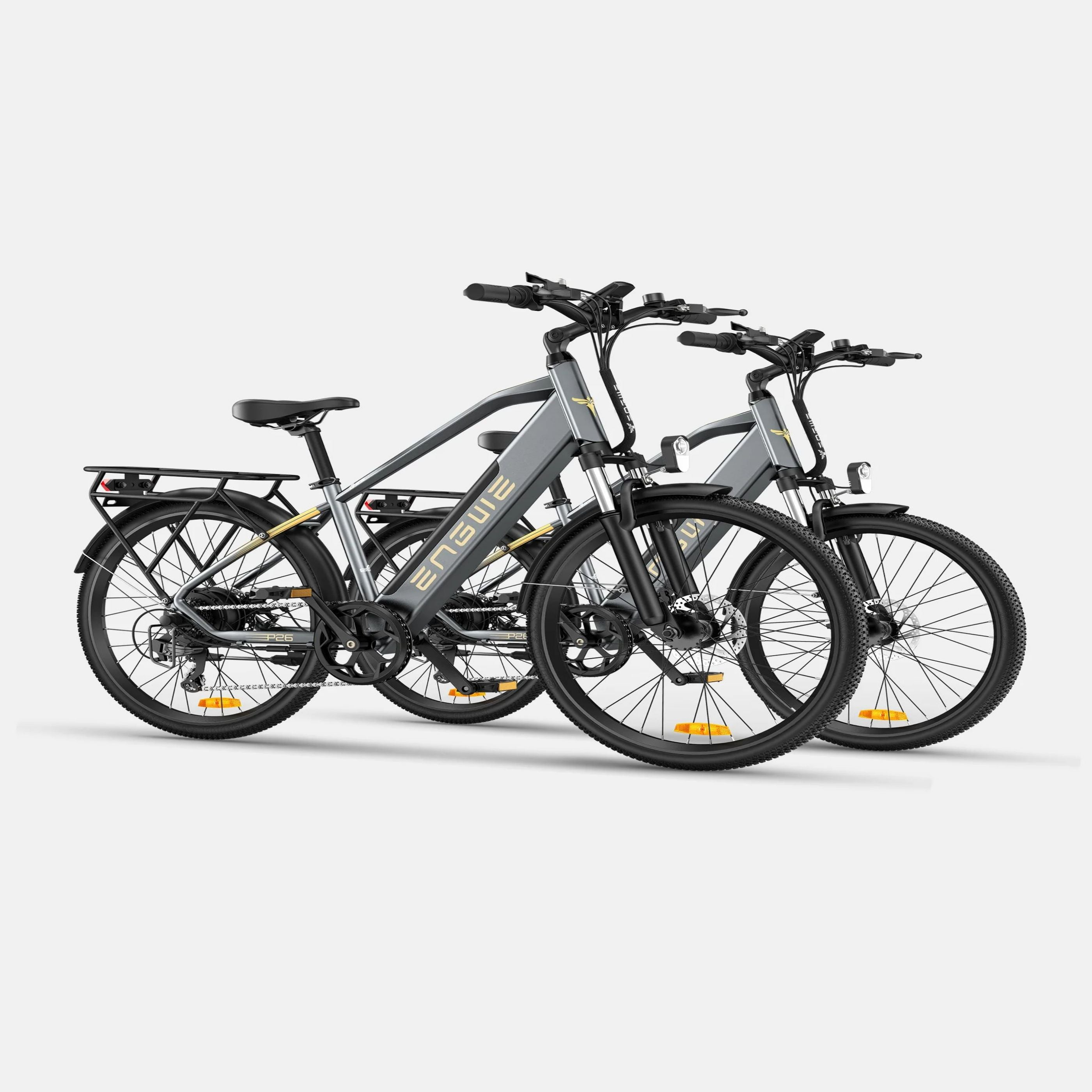 Due bici elettriche grigie affiancate. Pneumatici e manubri neri. Sfondo bianco.