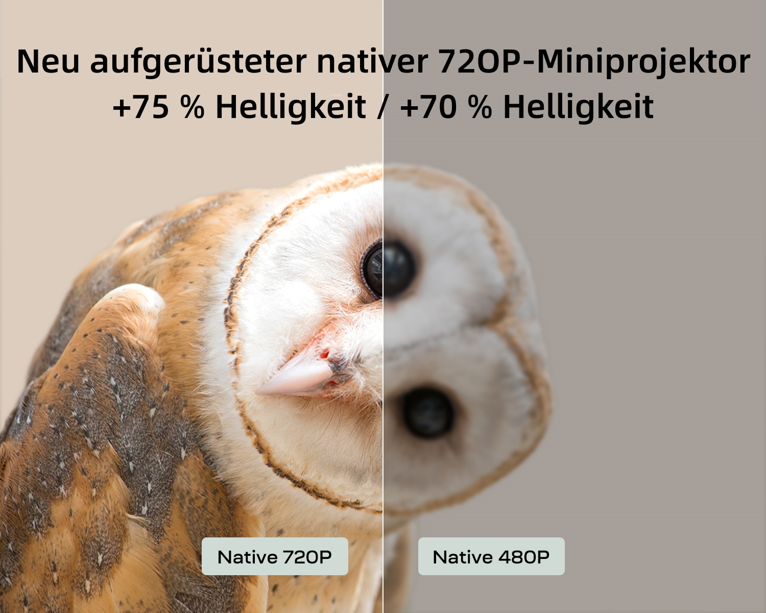 Vergleich von Eulengesichtern: nativ 720P und 480P. Text oben beschreibt den Unterschied.
