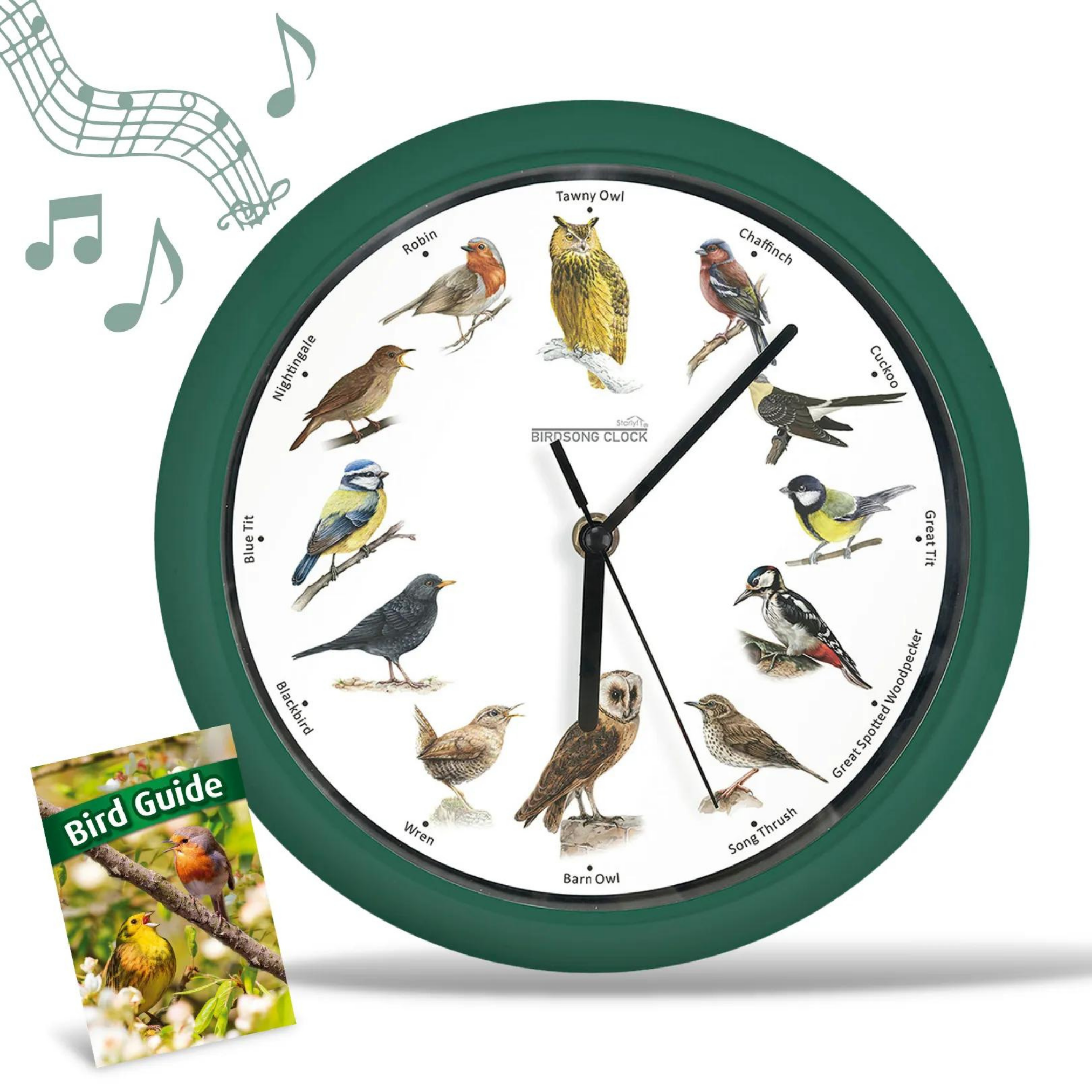 Eine grün umrandete Uhr mit Vogelillustrationen und einem Vogelführer. Die Uhr zeigt Vogelarten.