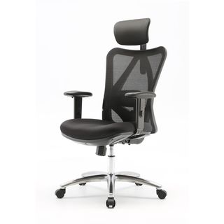 ZEDAR B600 Ergonomische bureaustoel Zwart