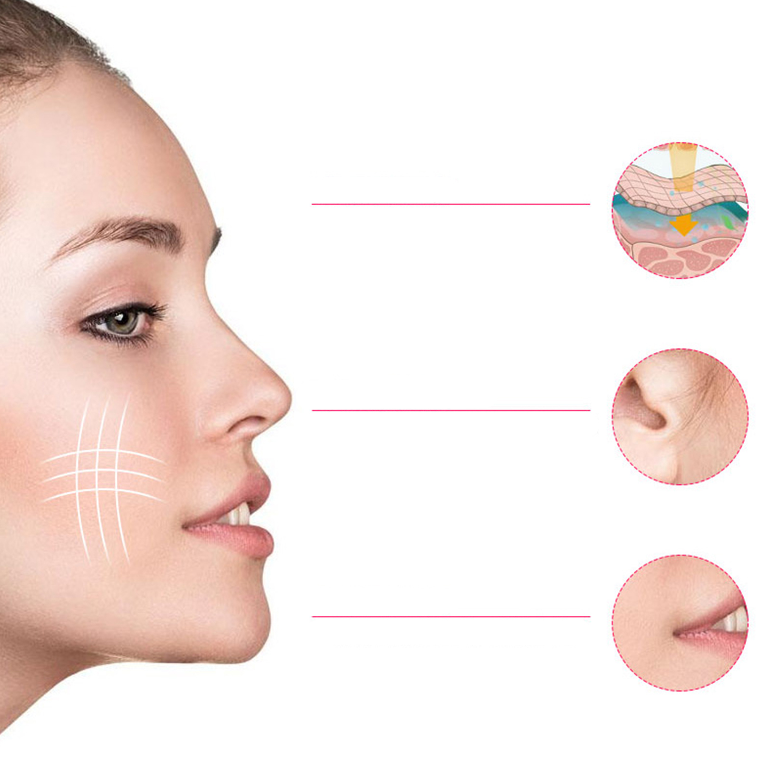 Profil des Gesichts einer Frau mit Hautdiagramm und Details von Ohr und Mund.