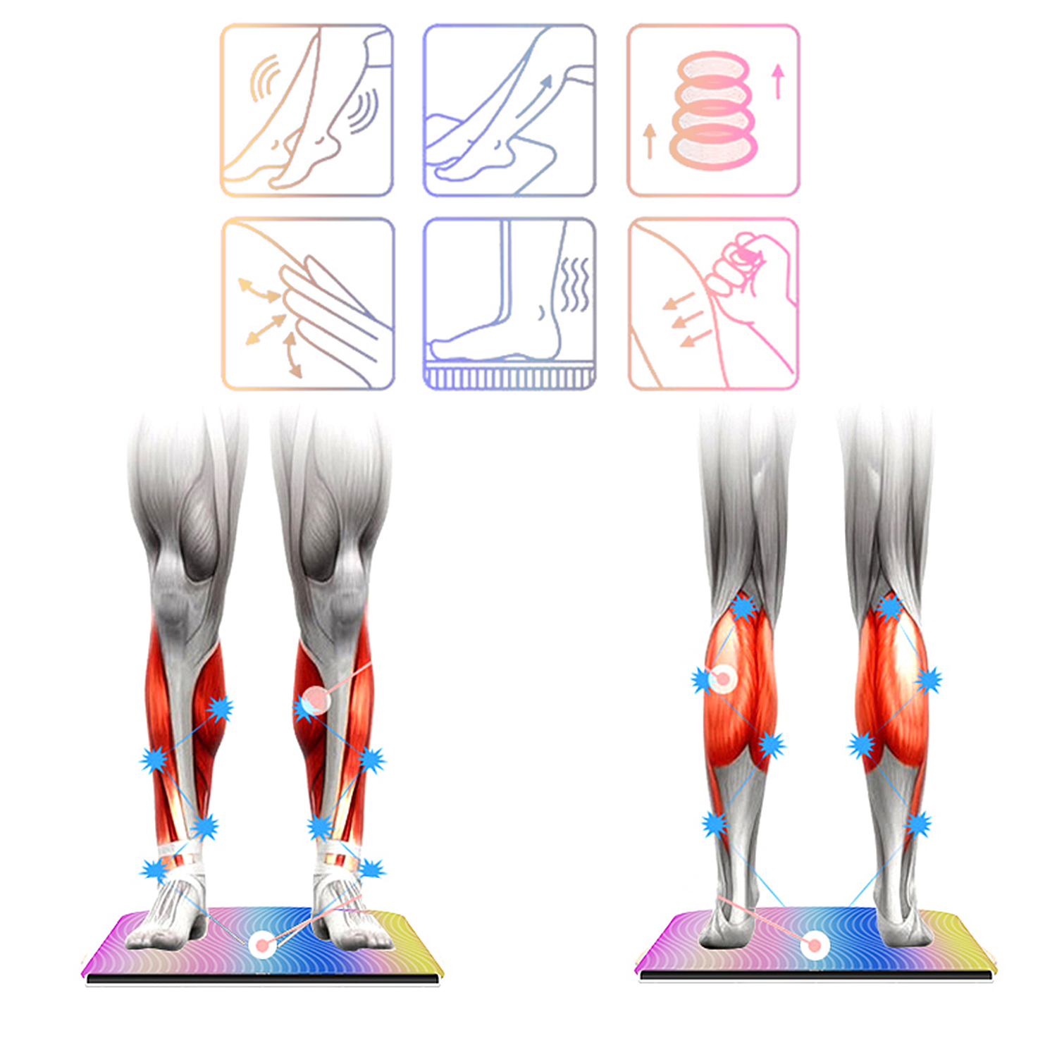Diagramm des Beins mit hervorgehobenen Muskeln, Massagepunkte zeigend, weißer Hintergrund.