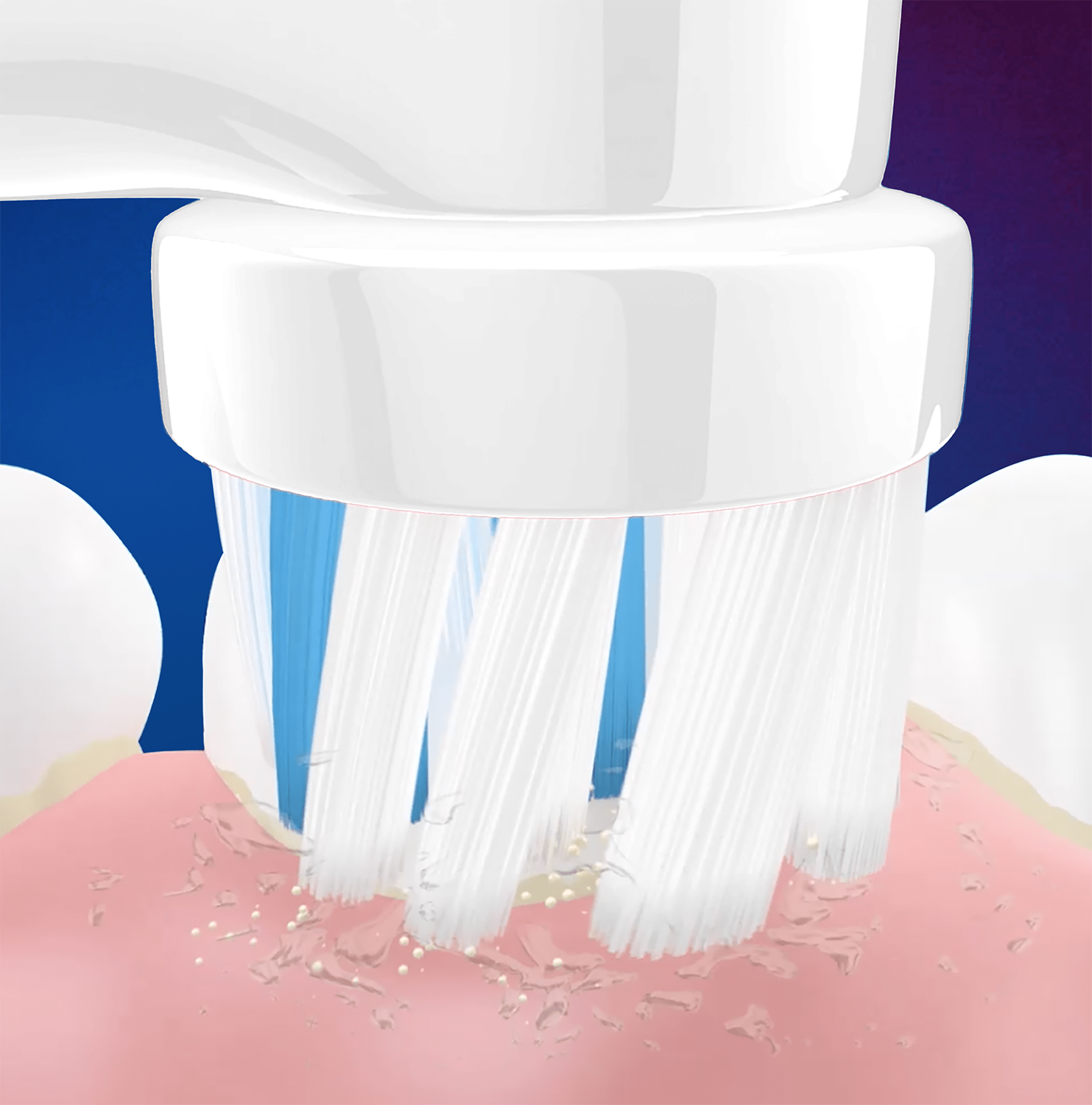 Primer plano de un cepillo de dientes eléctrico limpiando dientes. El cabezal tiene cerdas blancas y puntas azules.